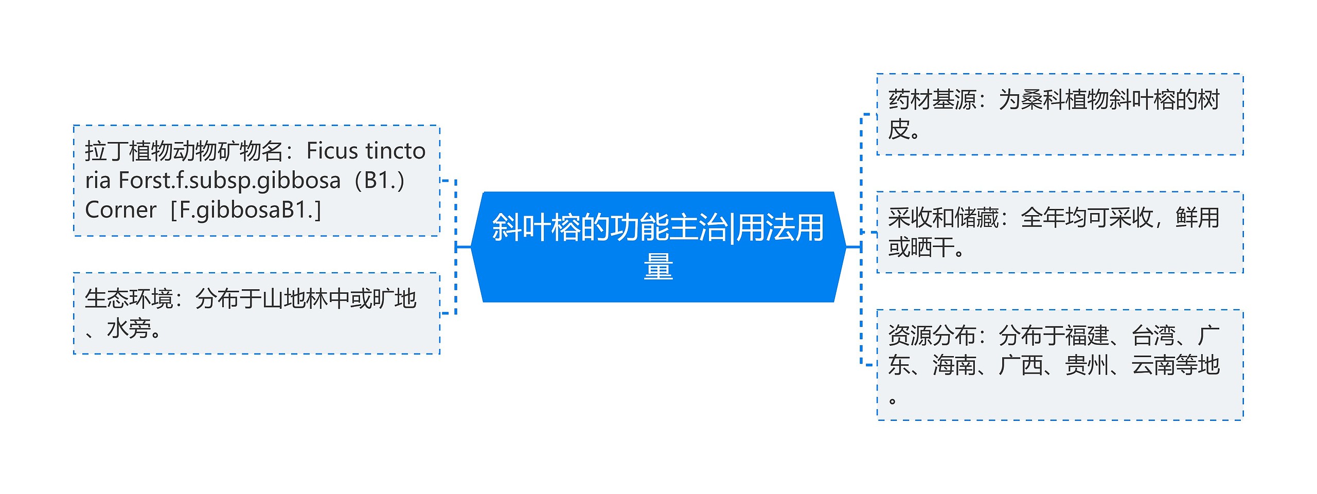 斜叶榕的功能主治|用法用量思维导图