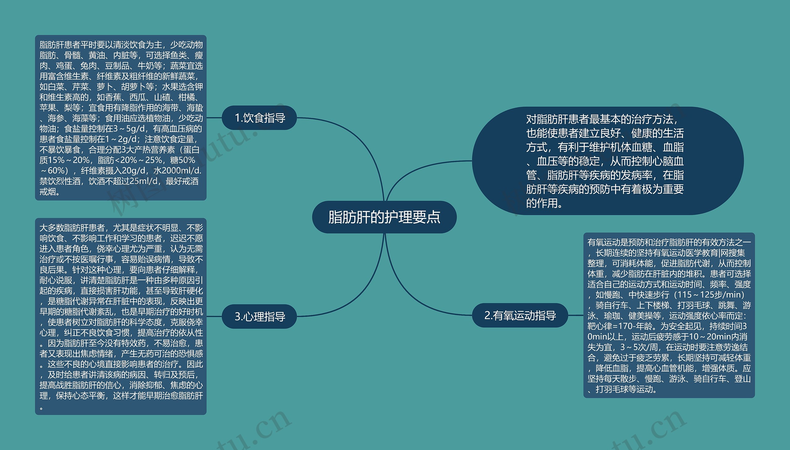 脂肪肝的护理要点