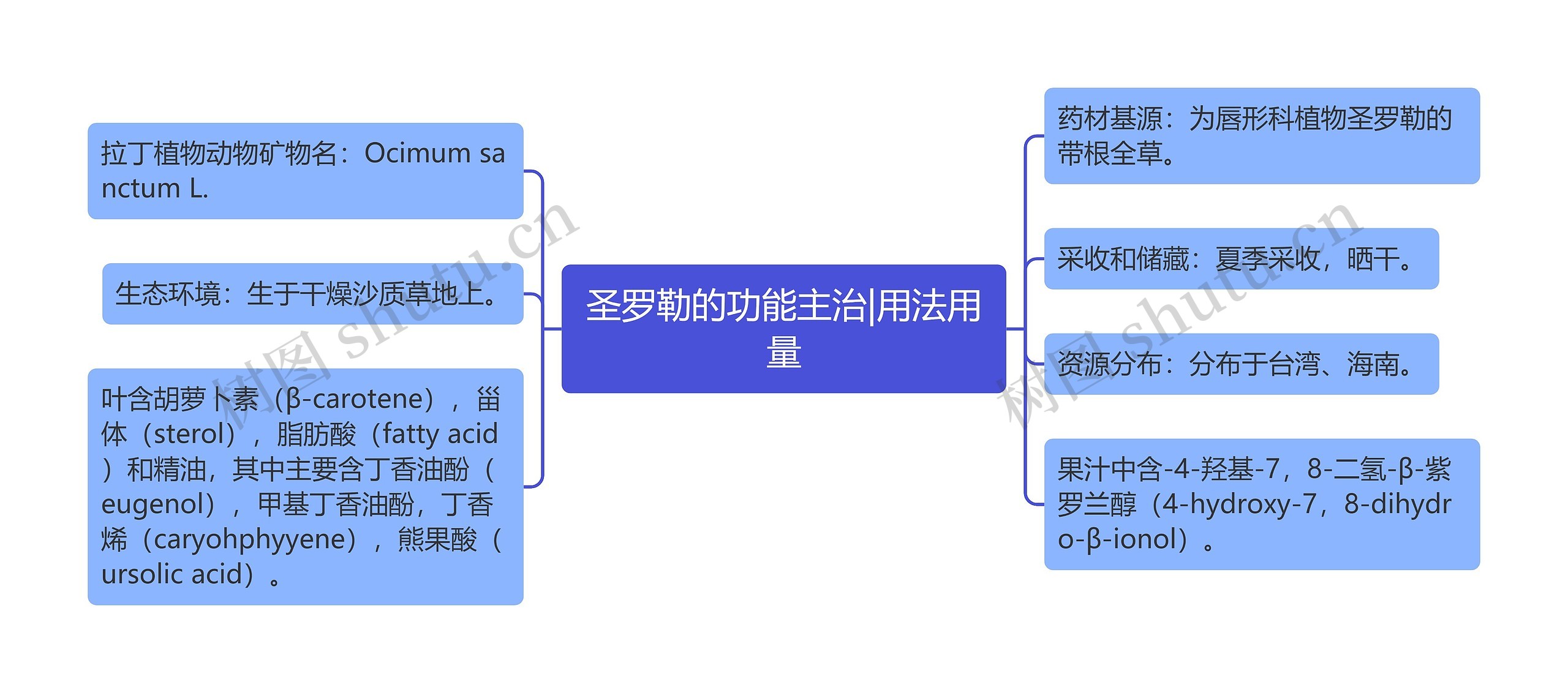 圣罗勒的功能主治|用法用量