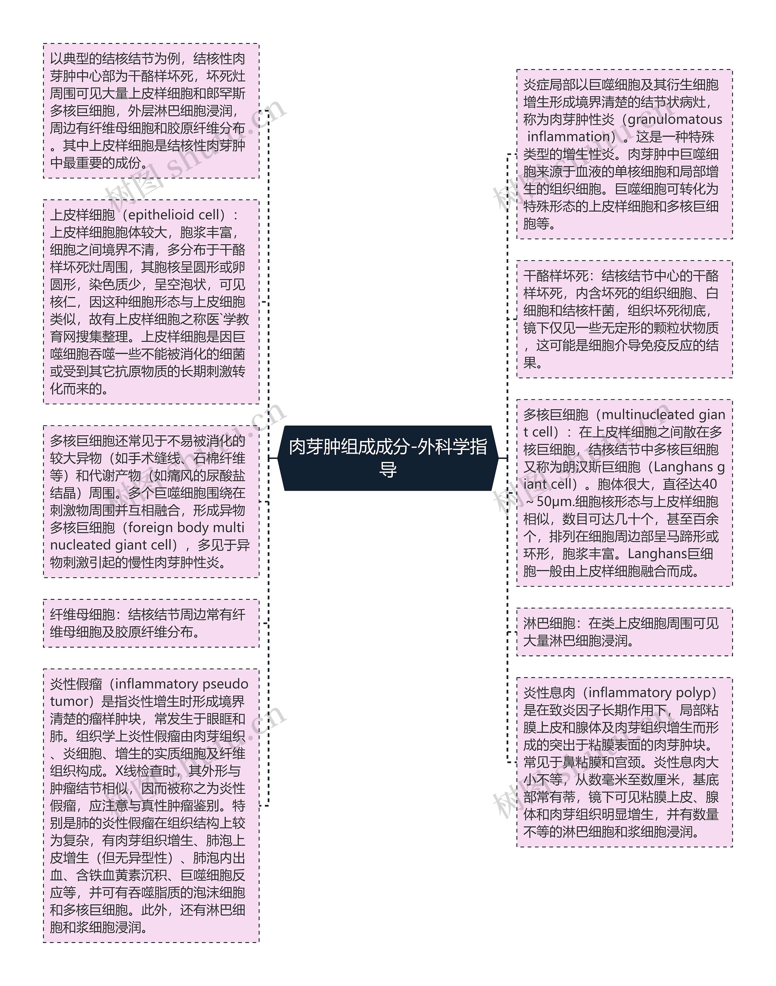 肉芽肿组成成分-外科学指导