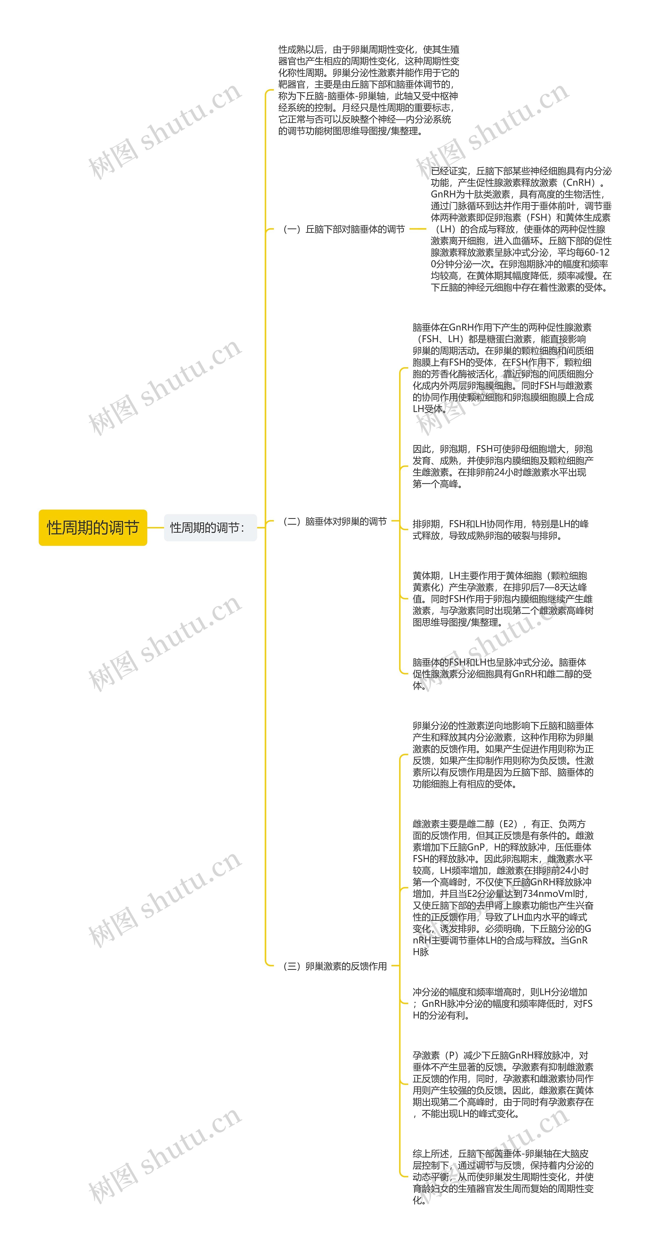 性周期的调节思维导图