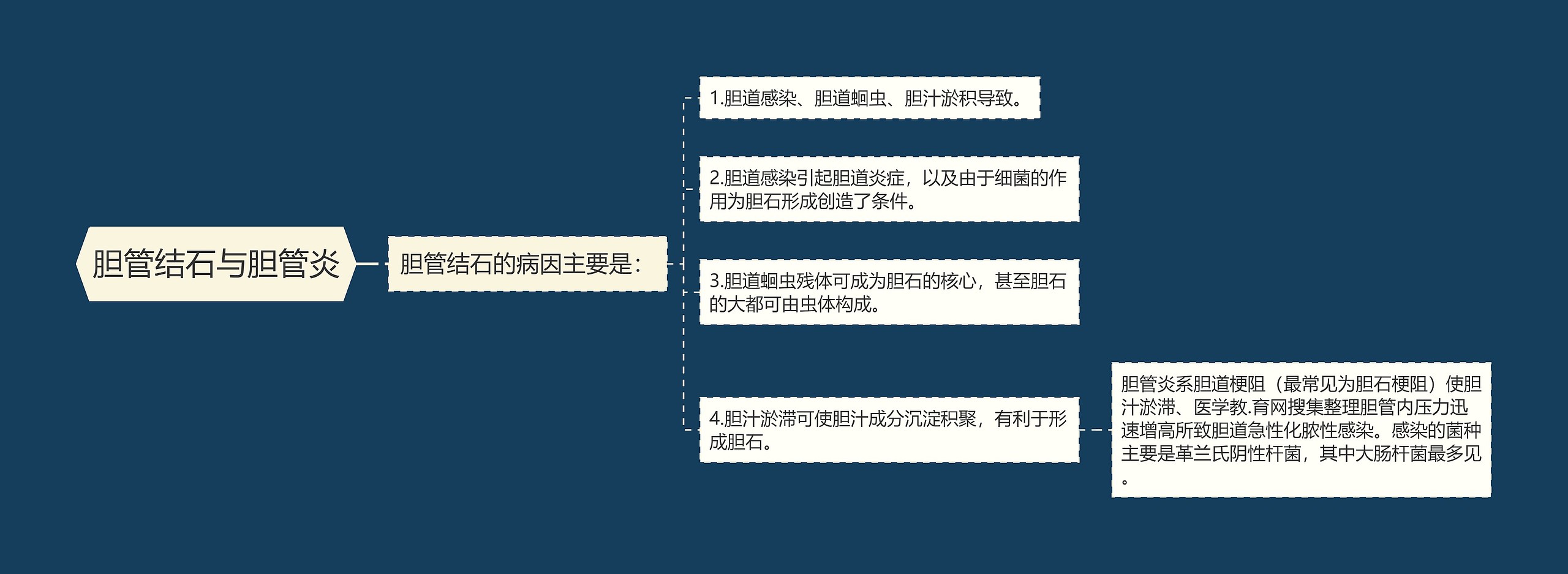 胆管结石与胆管炎思维导图