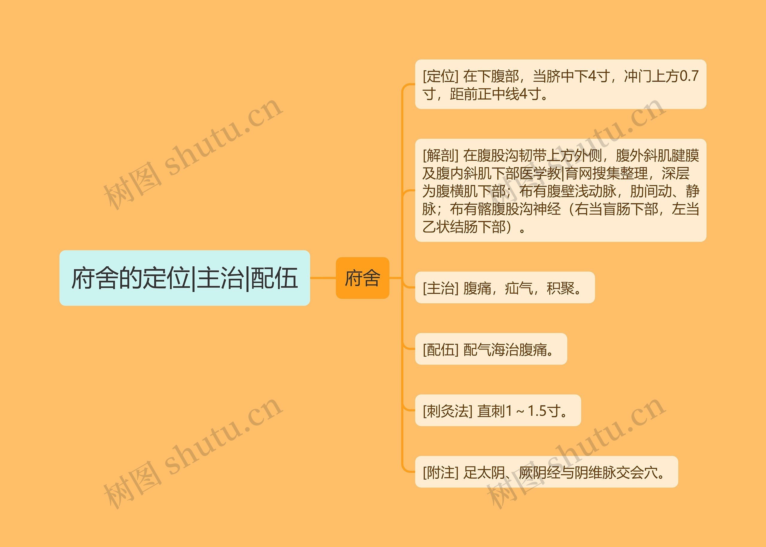 府舍的定位|主治|配伍 府舍的定位|主治|配伍