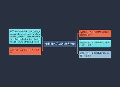 倒根野苏的功效|用法用量