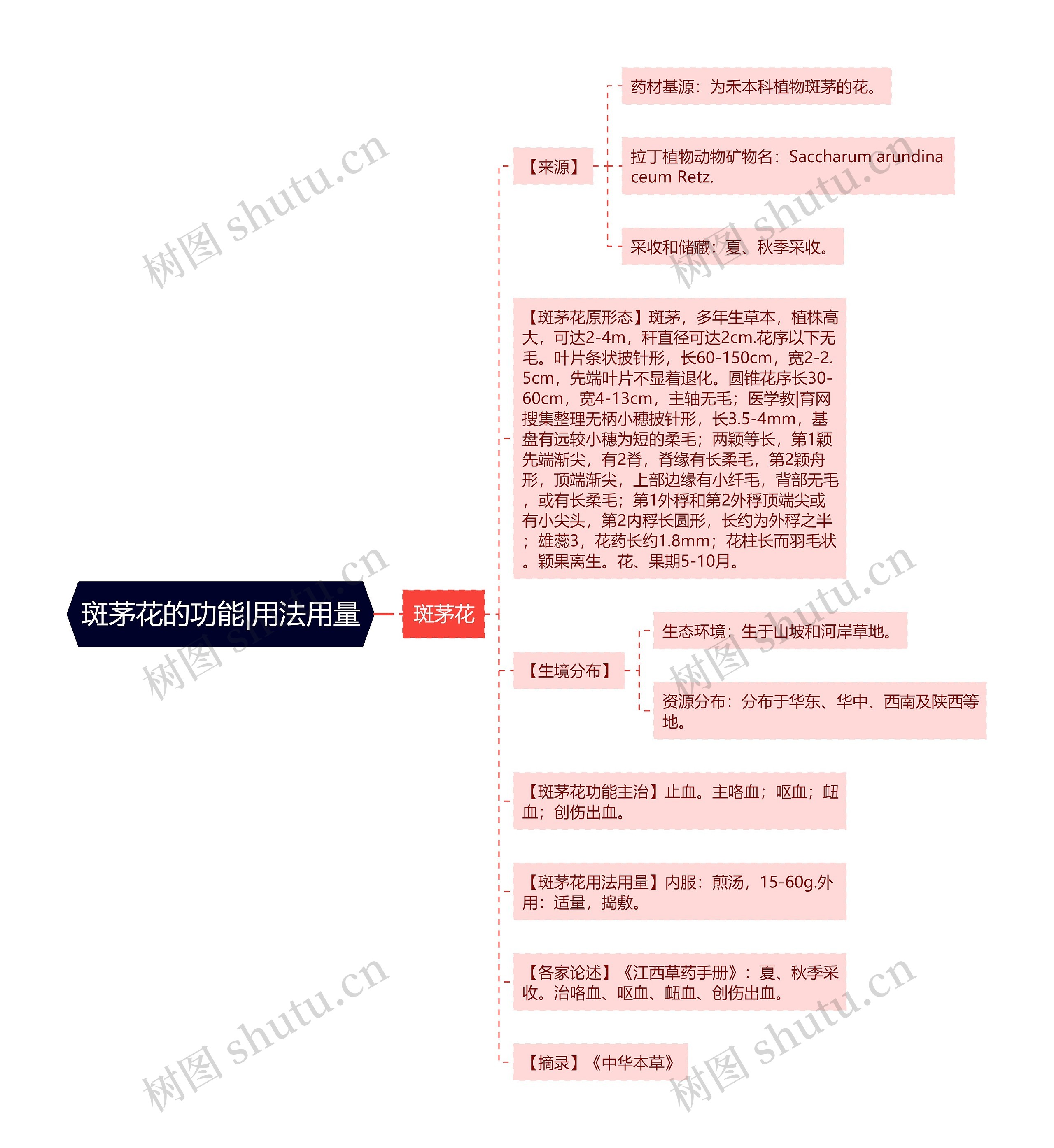 斑茅花的功能|用法用量 斑茅花的功能|用法用量
