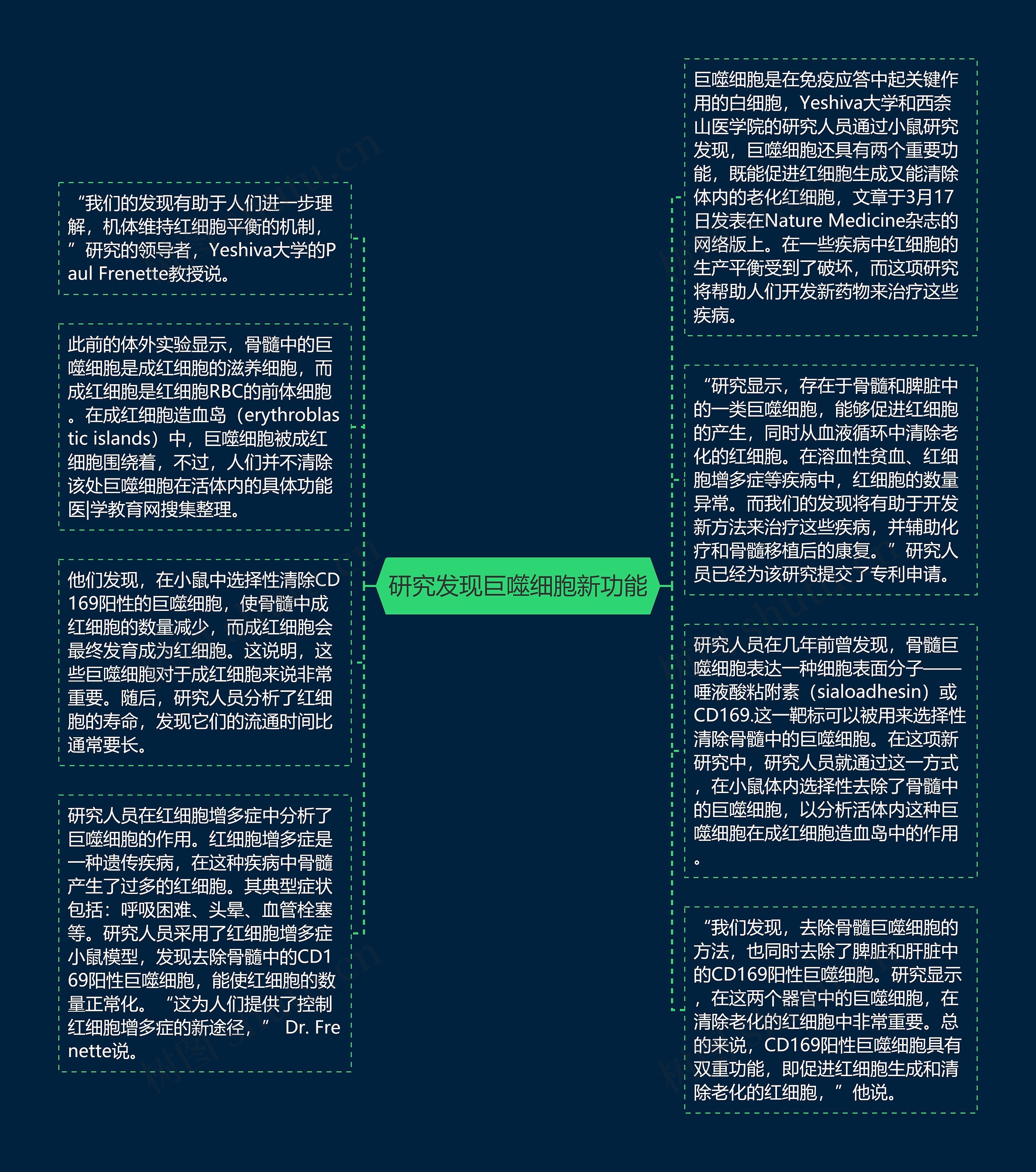 研究发现巨噬细胞新功能思维导图