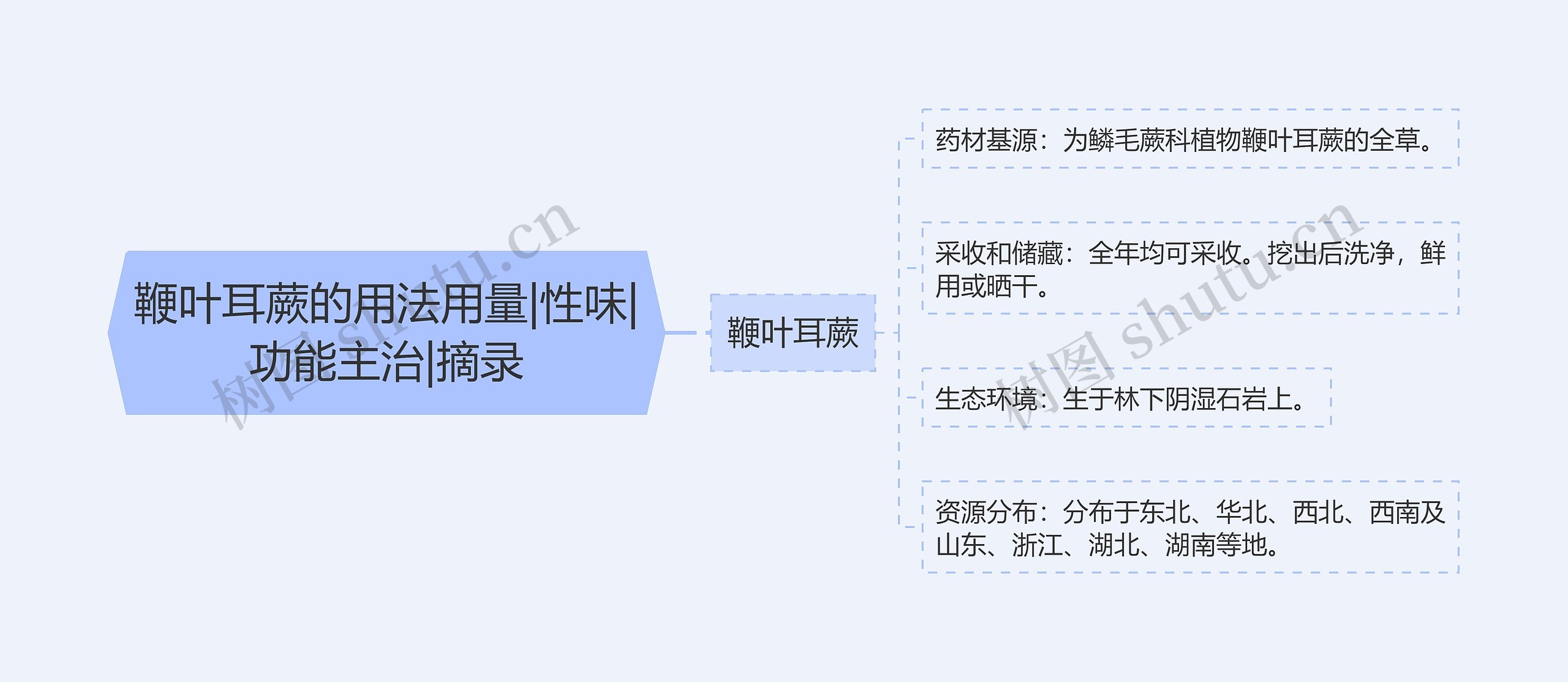 鞭叶耳蕨的用法用量|性味|功能主治|摘录思维导图