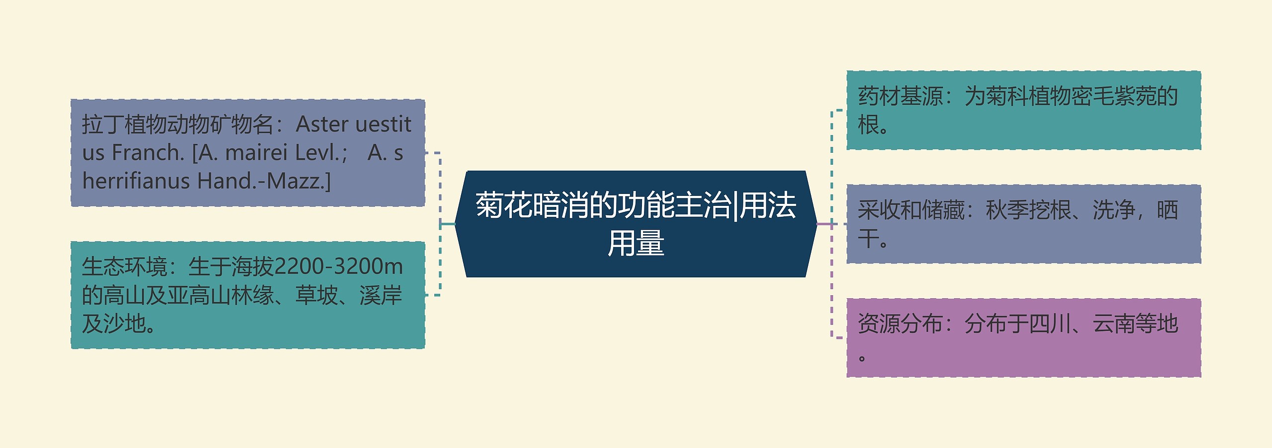 菊花暗消的功能主治|用法用量 菊花暗消的功能主治|用法用量