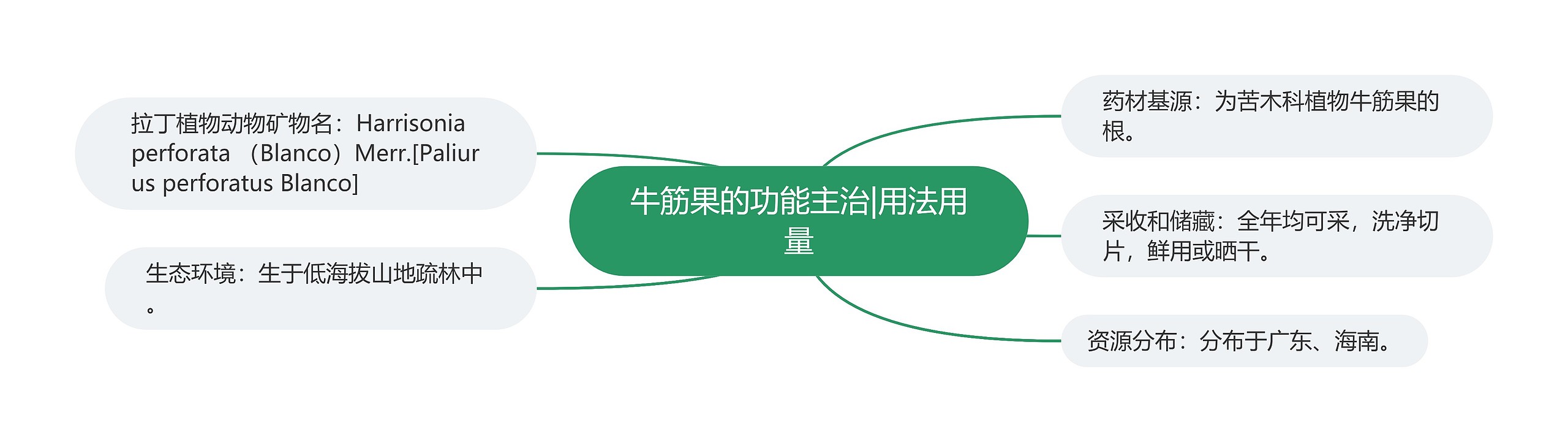 牛筋果的功能主治|用法用量 牛筋果的功能主治|用法用量