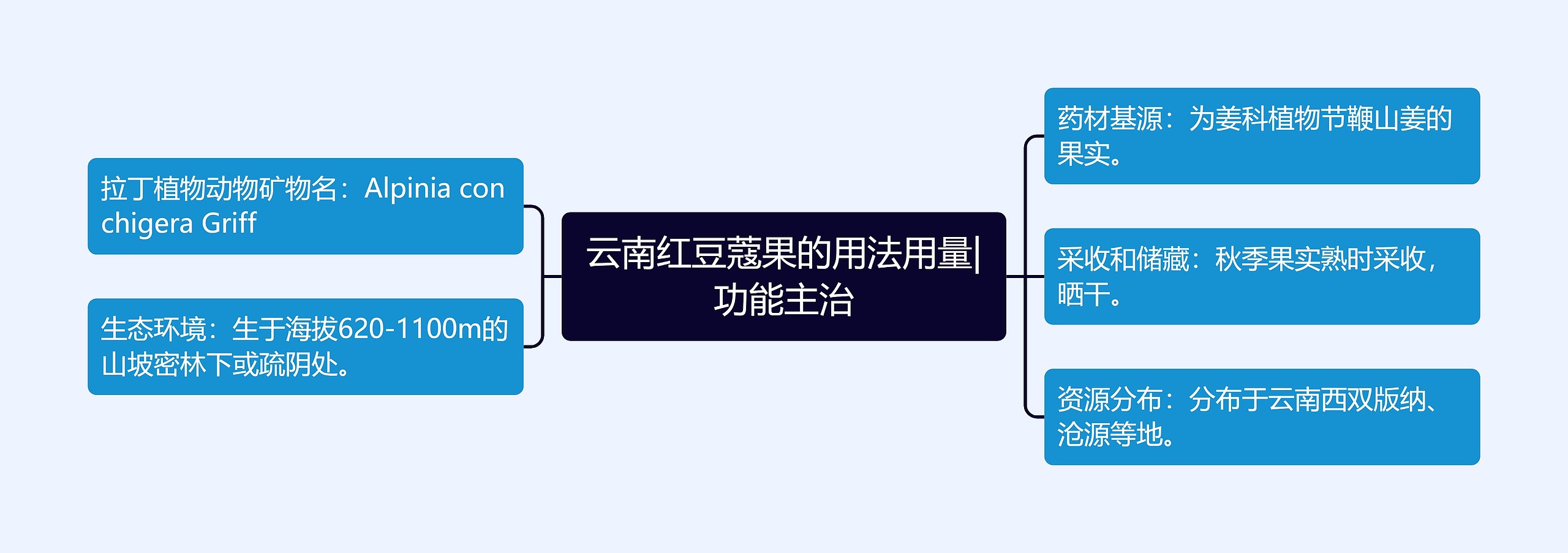 云南红豆蔻果的用法用量|功能主治 云南红豆蔻果的用法用量|功能主治