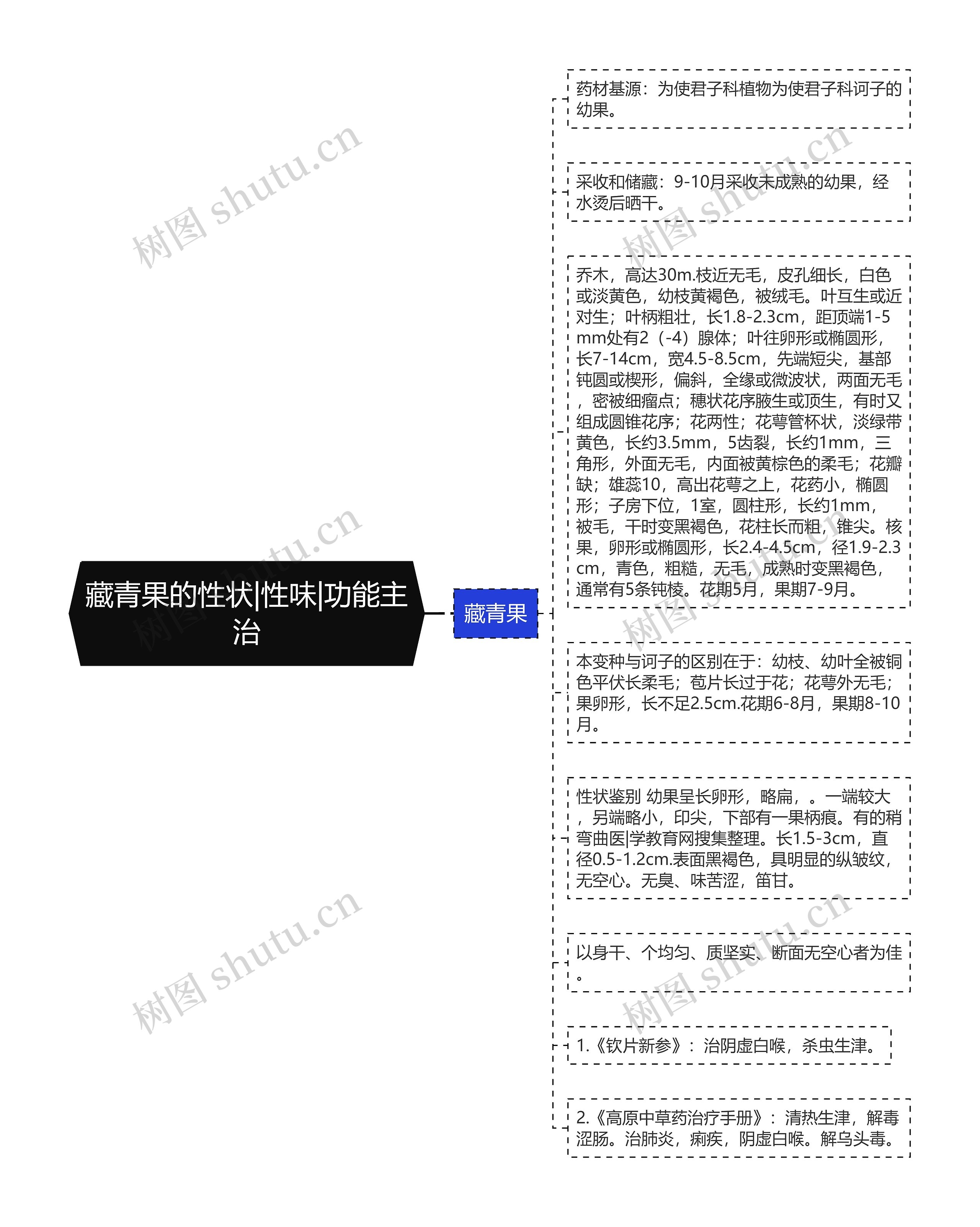 藏青果的性状|性味|功能主治 藏青果的性状|性味|功能主治