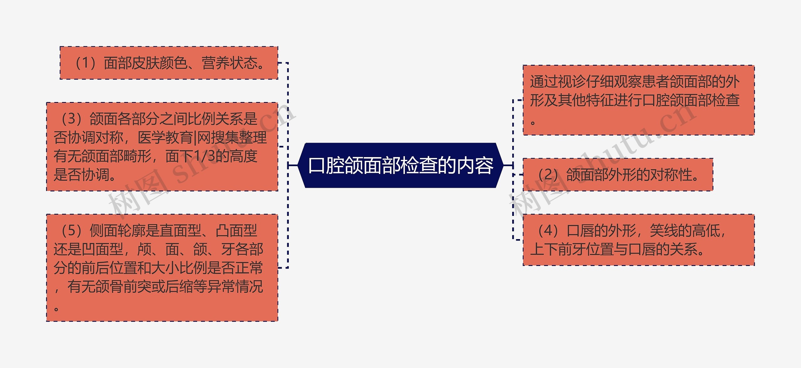 口腔颌面部检查的内容