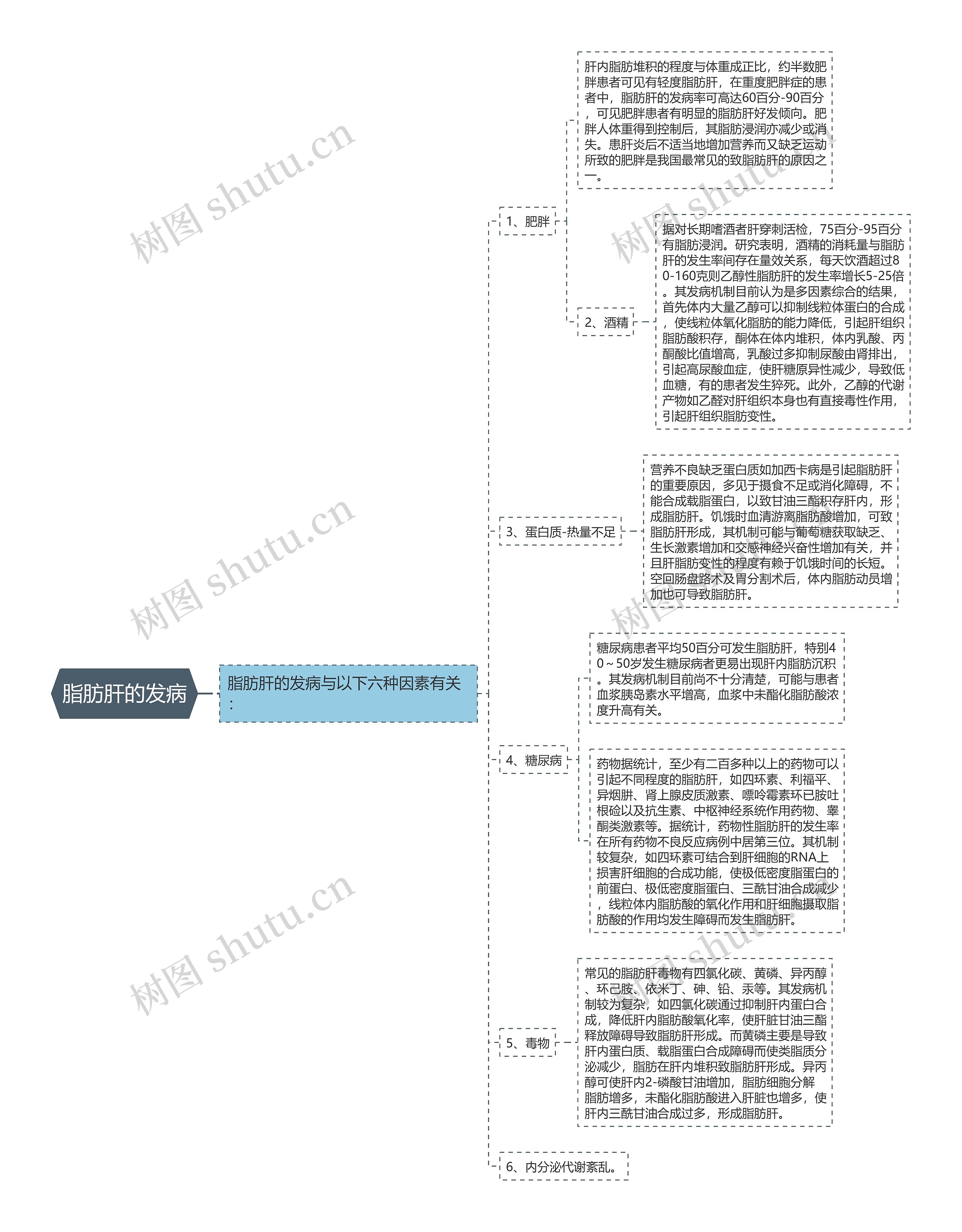 脂肪肝的发病 脂肪肝的发病
