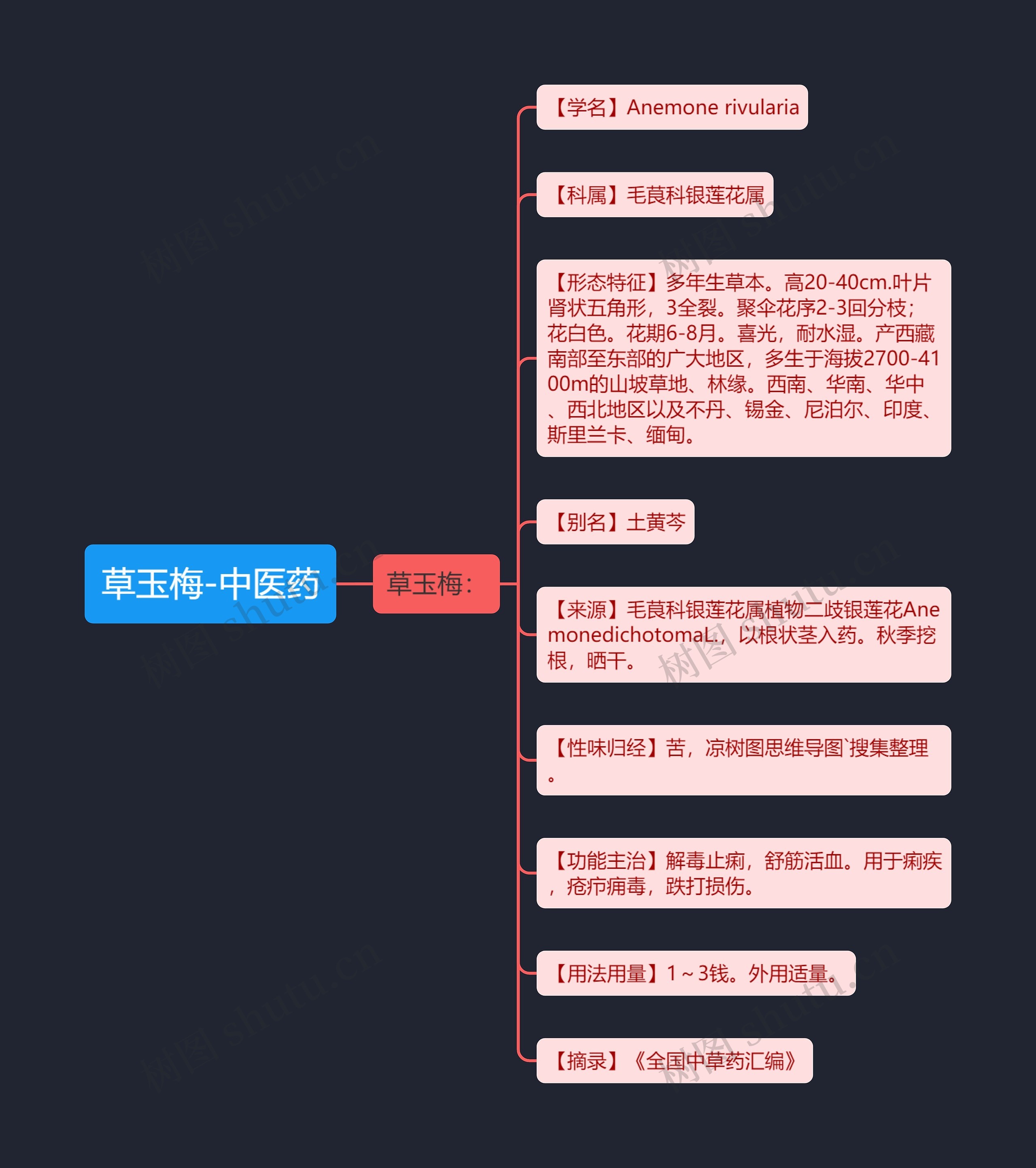 草玉梅-中医药 草玉梅-中医药