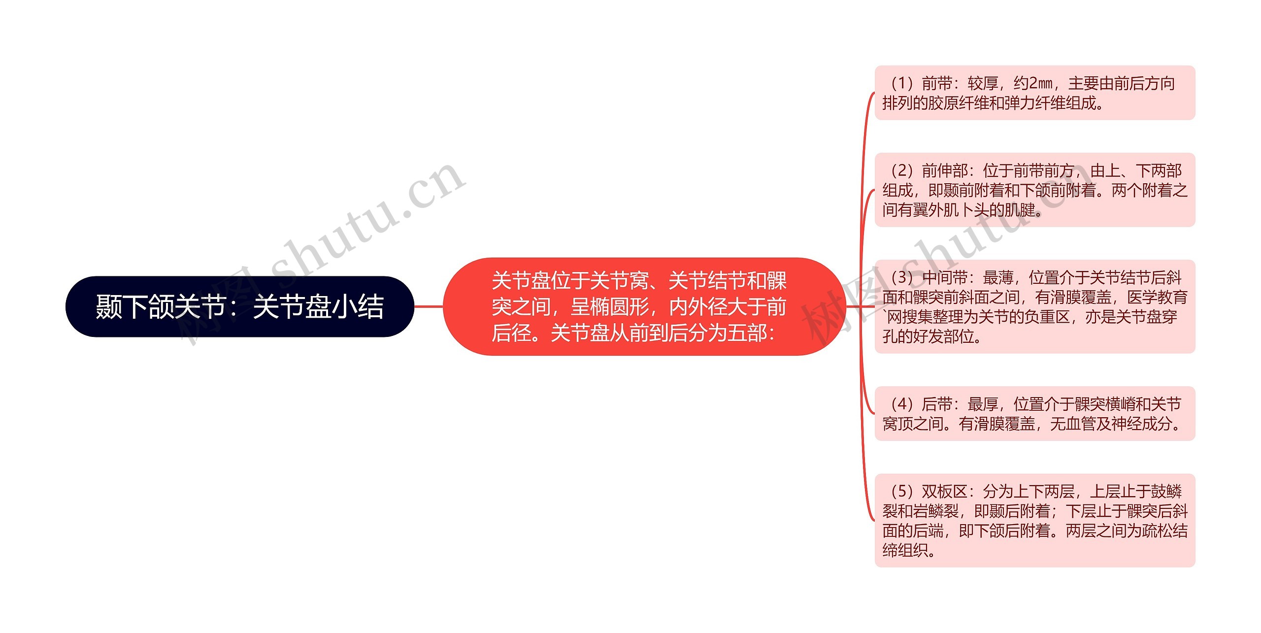 颞下颌关节：关节盘小结思维导图