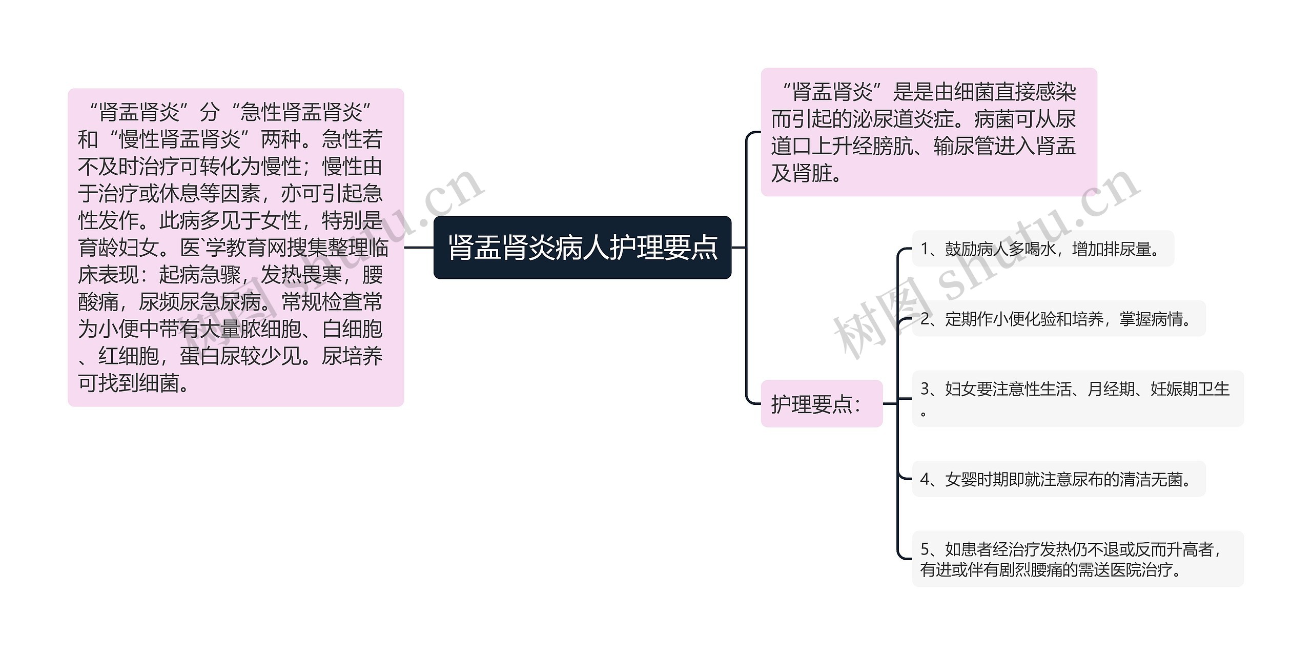 肾盂肾炎病人护理要点思维导图