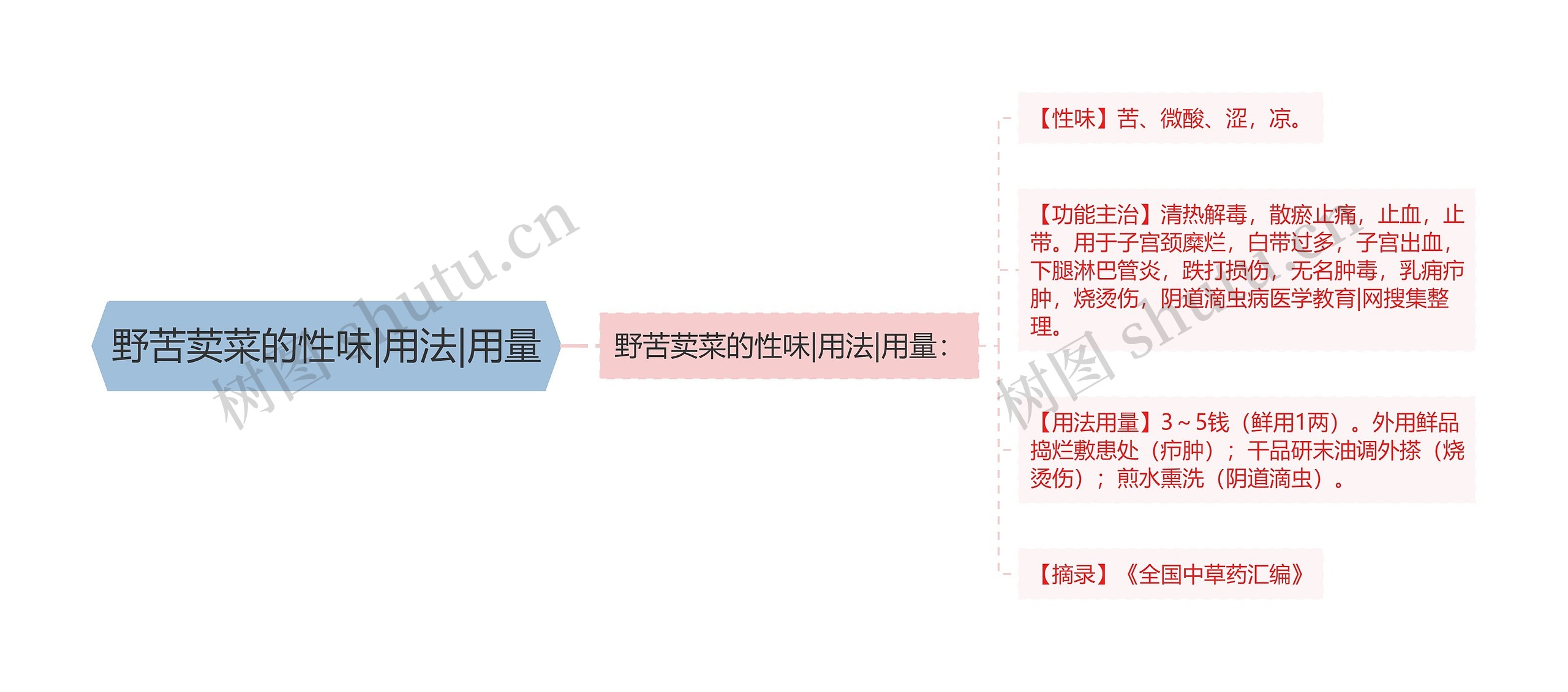 野苦荬菜的性味|用法|用量思维导图