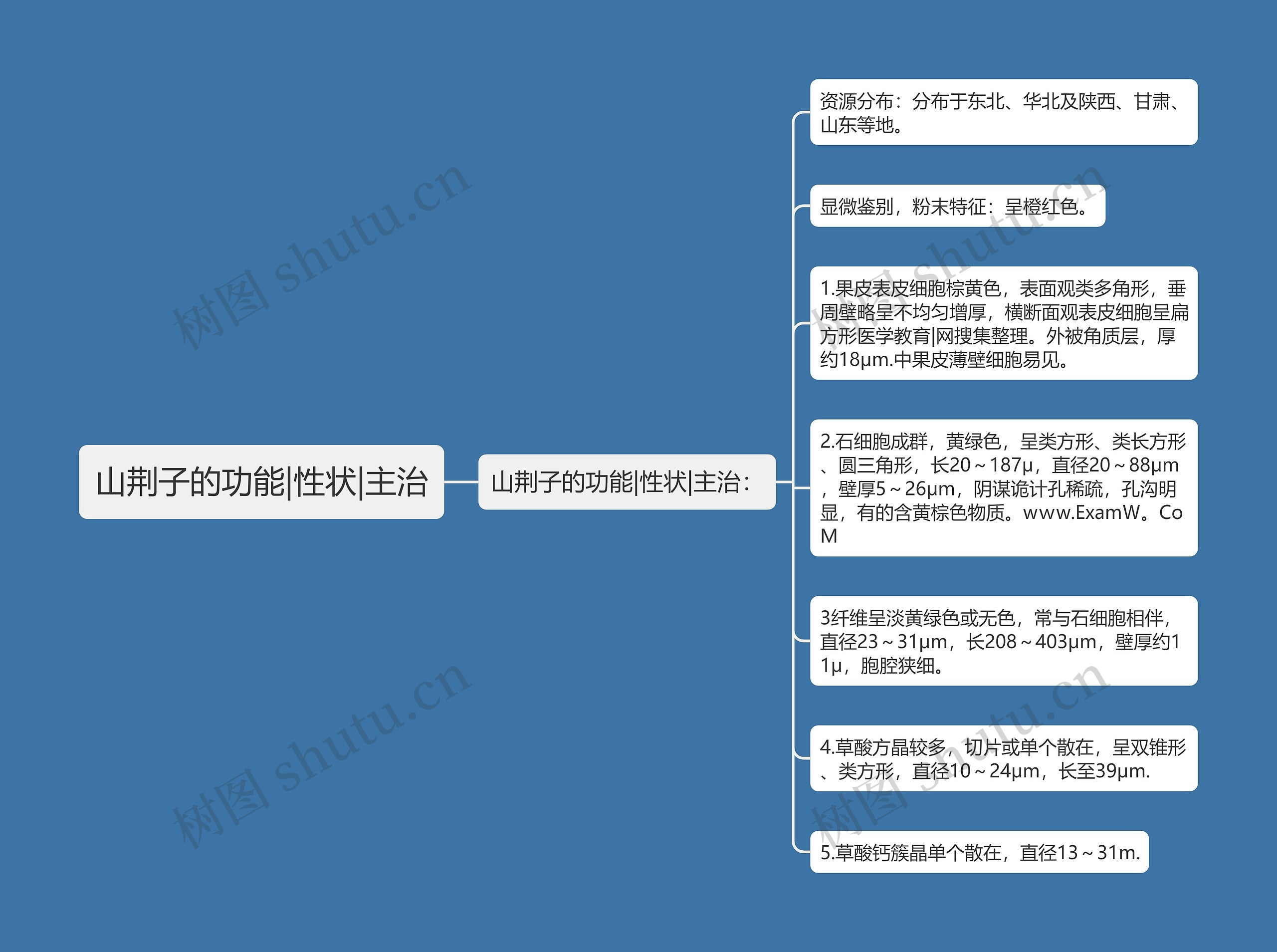 山荆子的功能|性状|主治思维导图