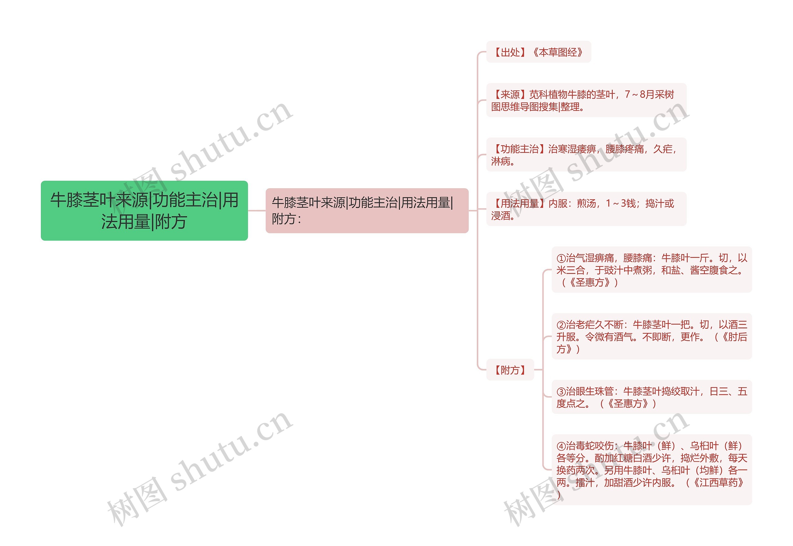 牛膝茎叶来源|功能主治|用法用量|附方 牛膝茎叶来源|功能主治|用法用量|附方