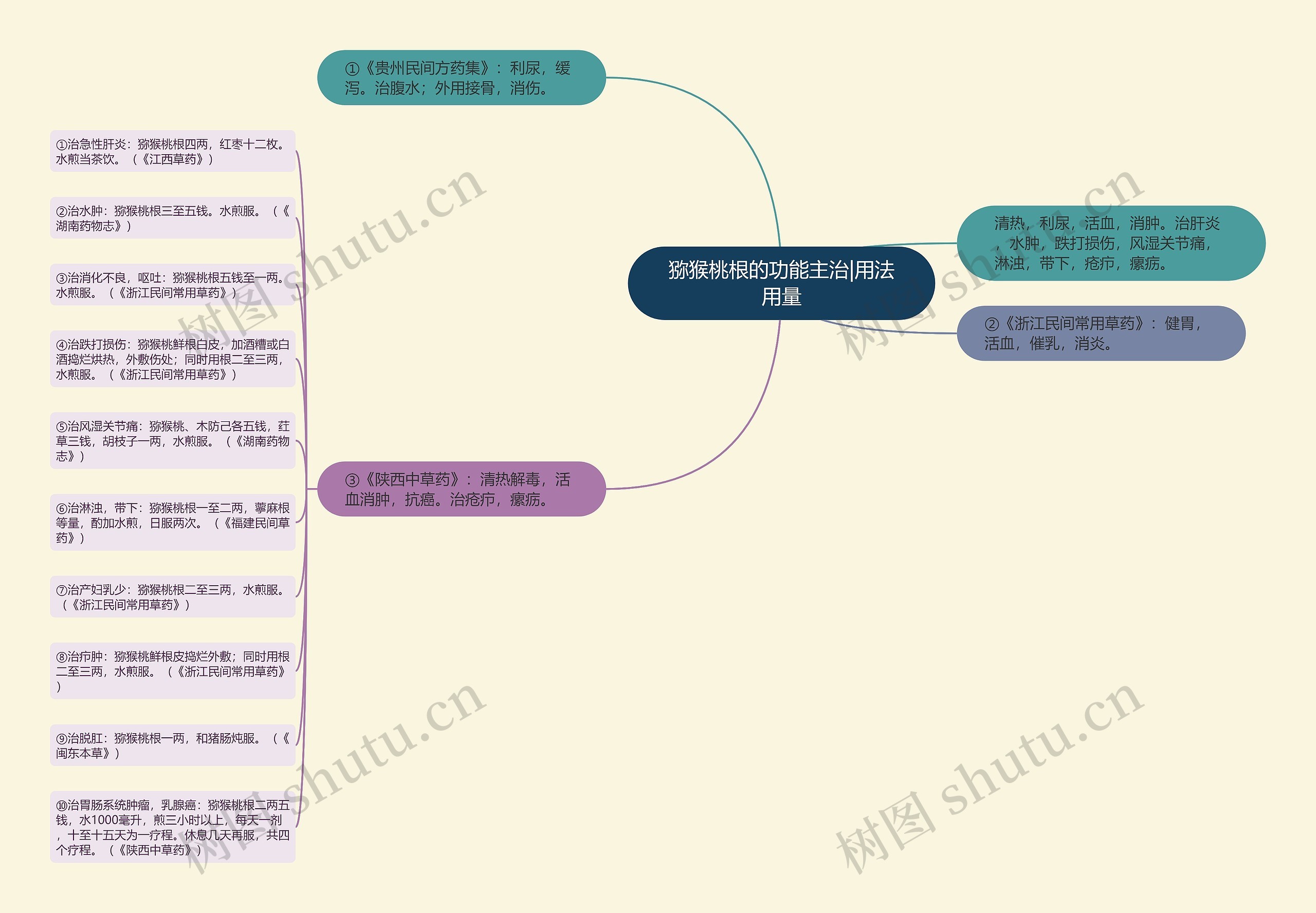 猕猴桃根的功能主治|用法用量思维导图