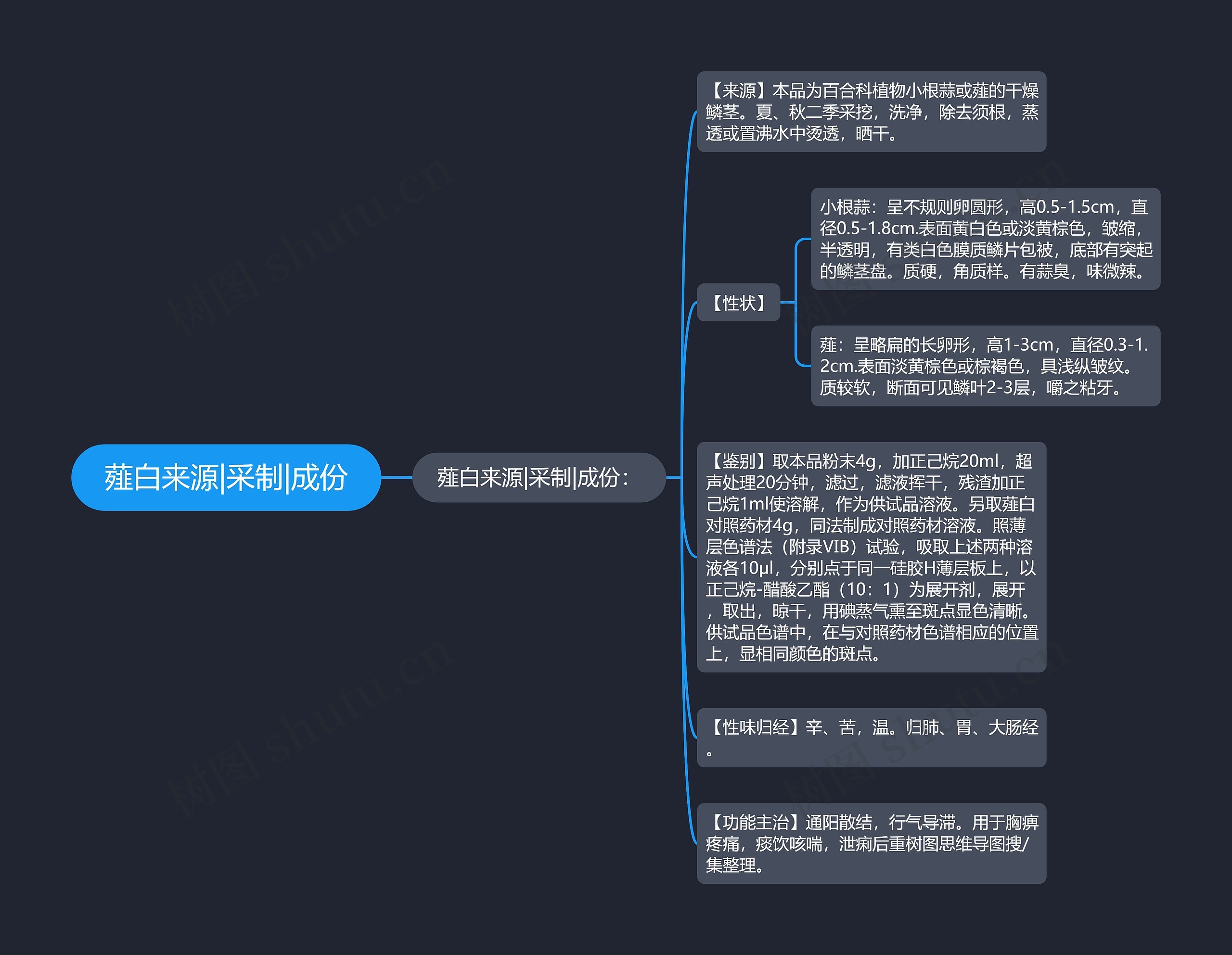 薤白来源|采制|成份思维导图