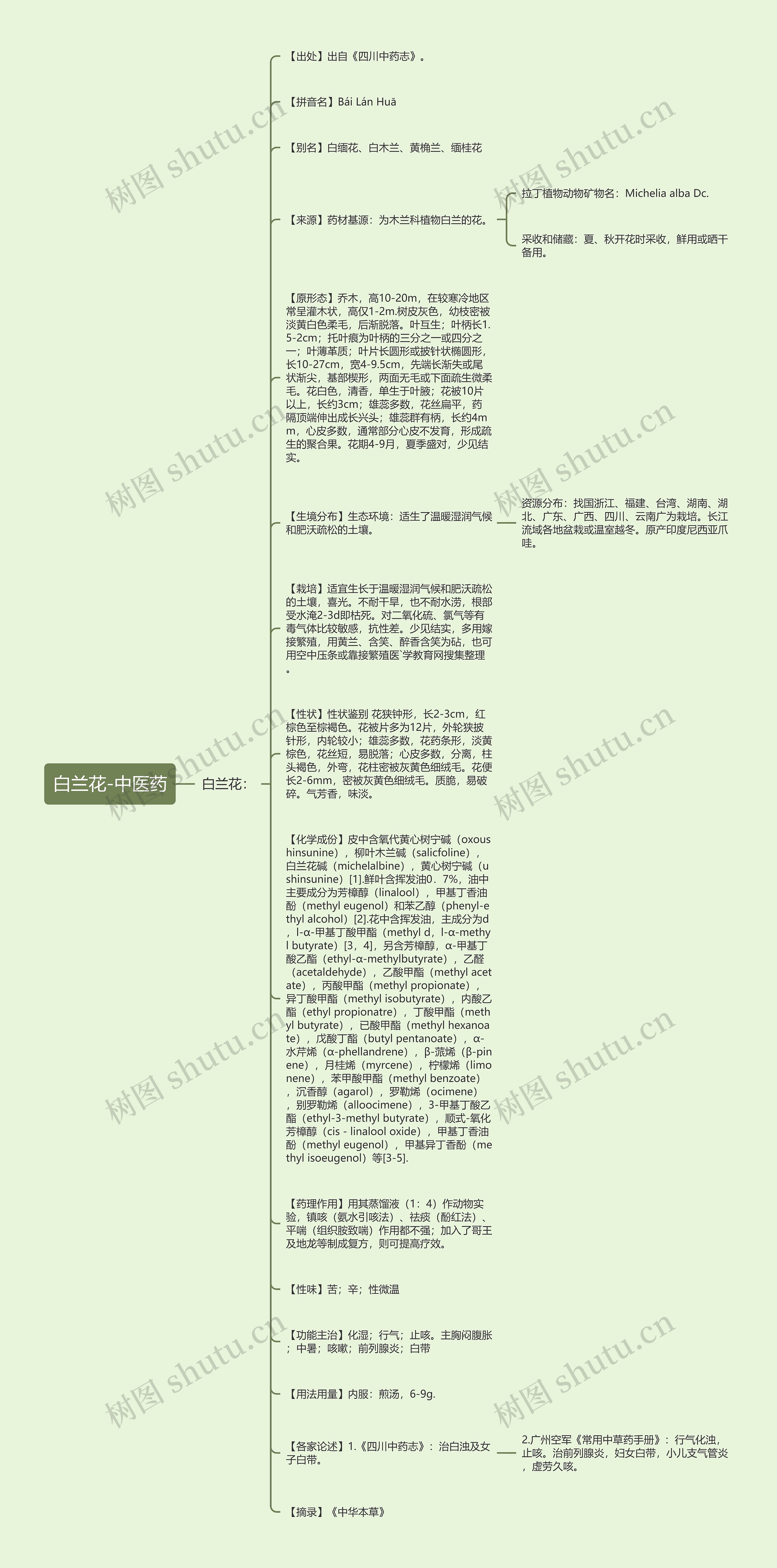 白兰花-中医药思维导图