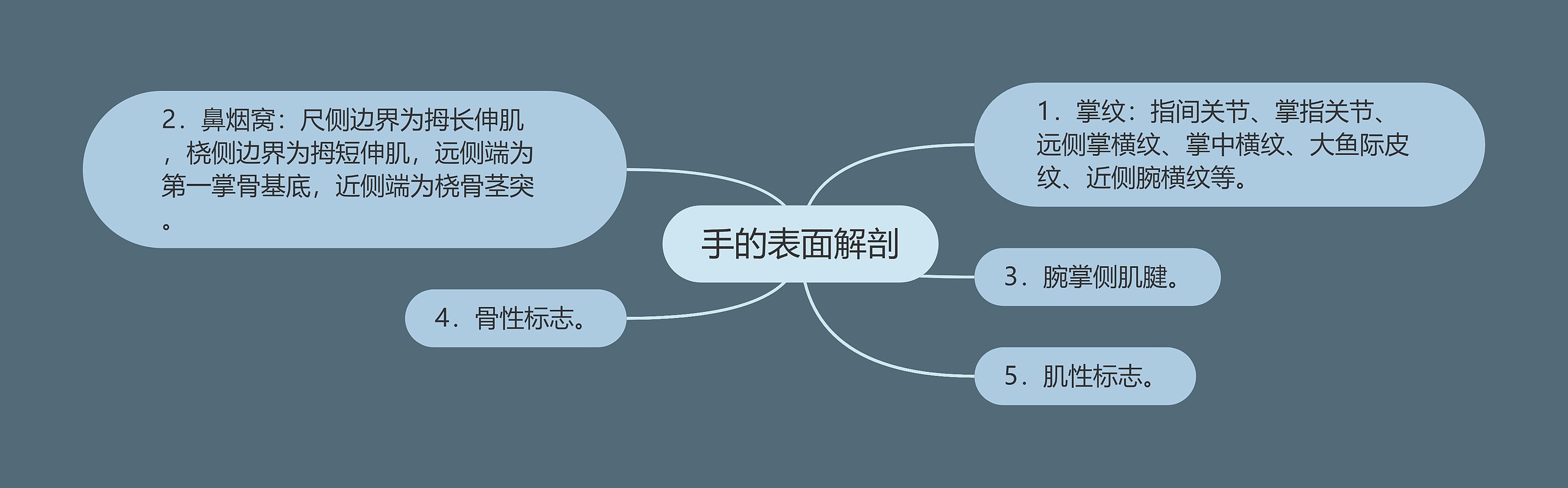 手的表面解剖思维导图