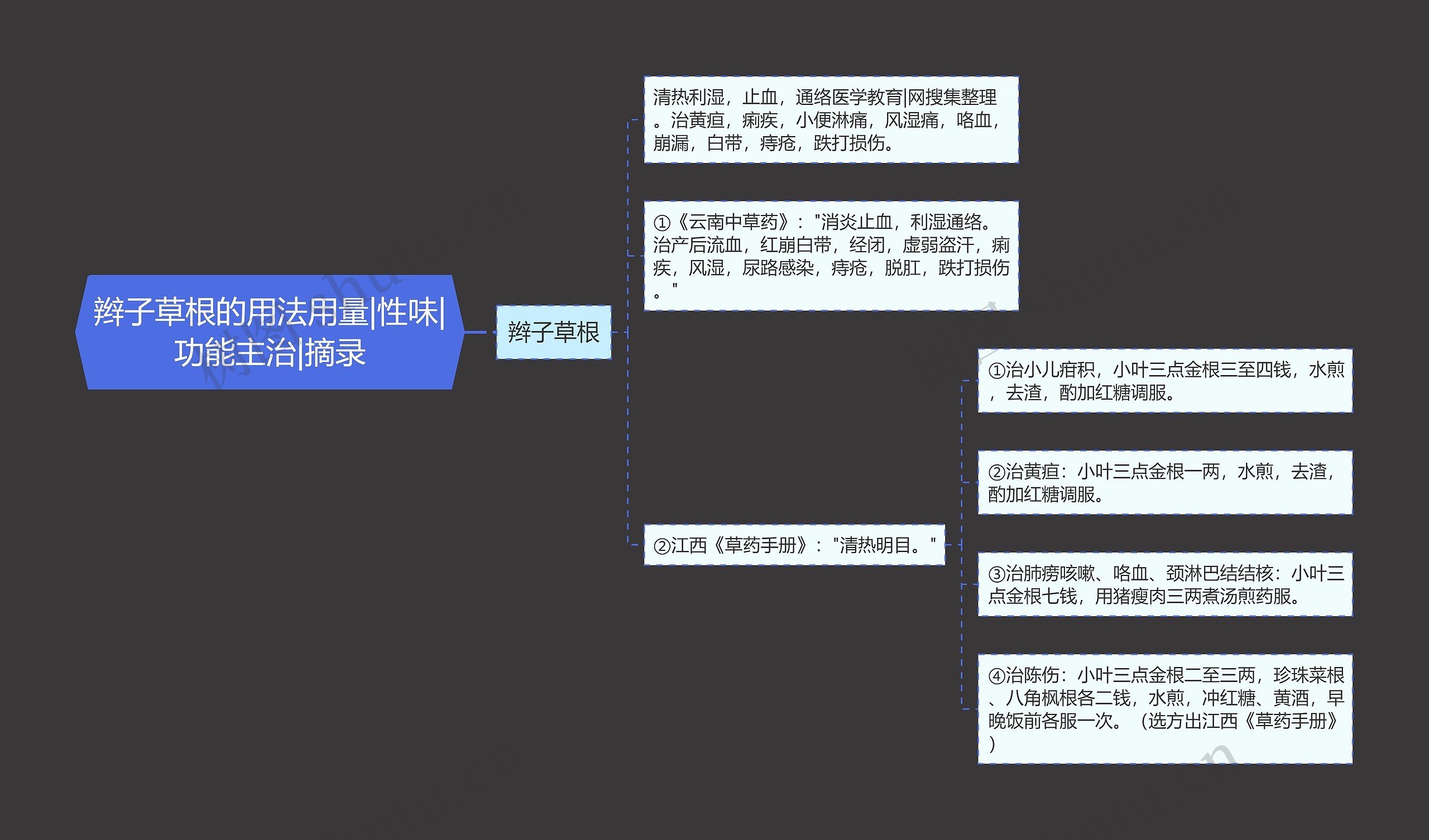 辫子草根的用法用量|性味|功能主治|摘录思维导图