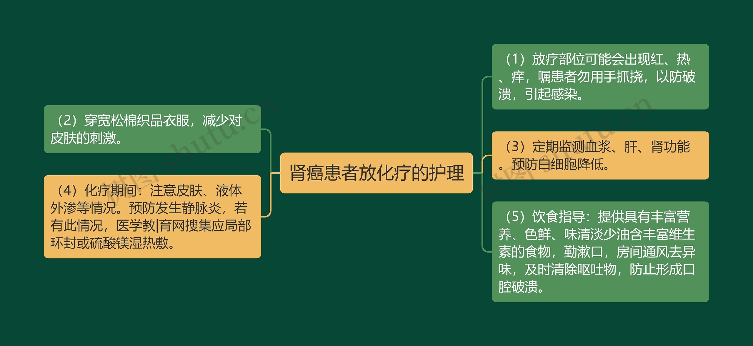 肾癌患者放化疗的护理思维导图