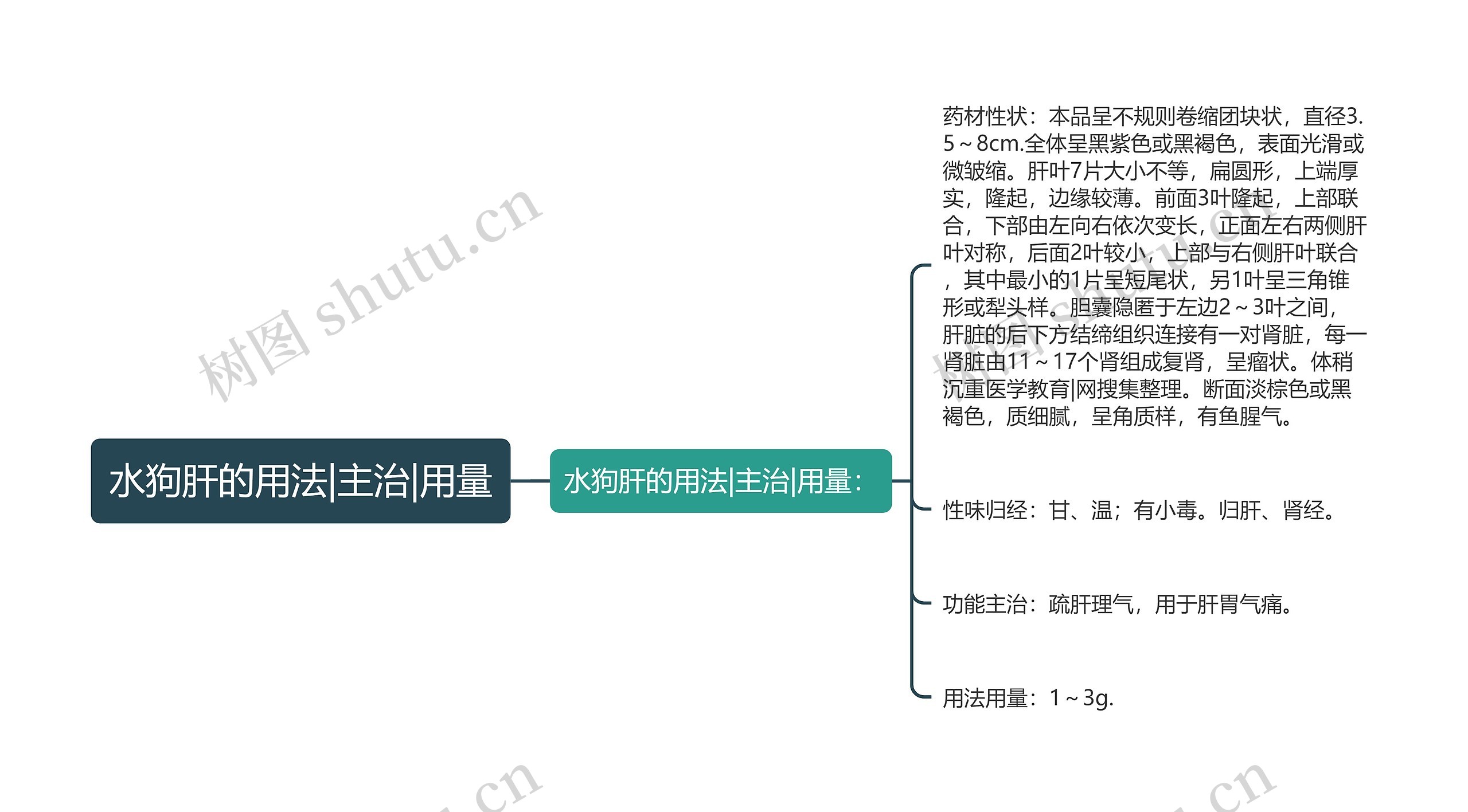 水狗肝的用法|主治|用量思维导图