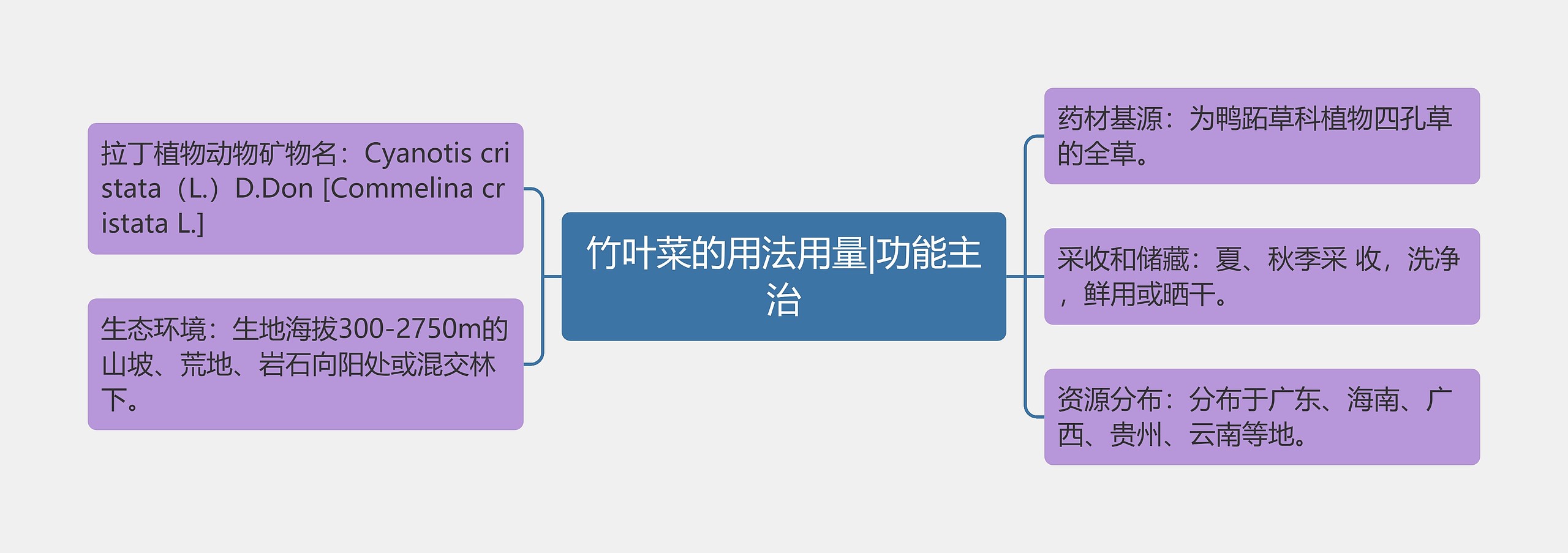 竹叶菜的用法用量|功能主治思维导图