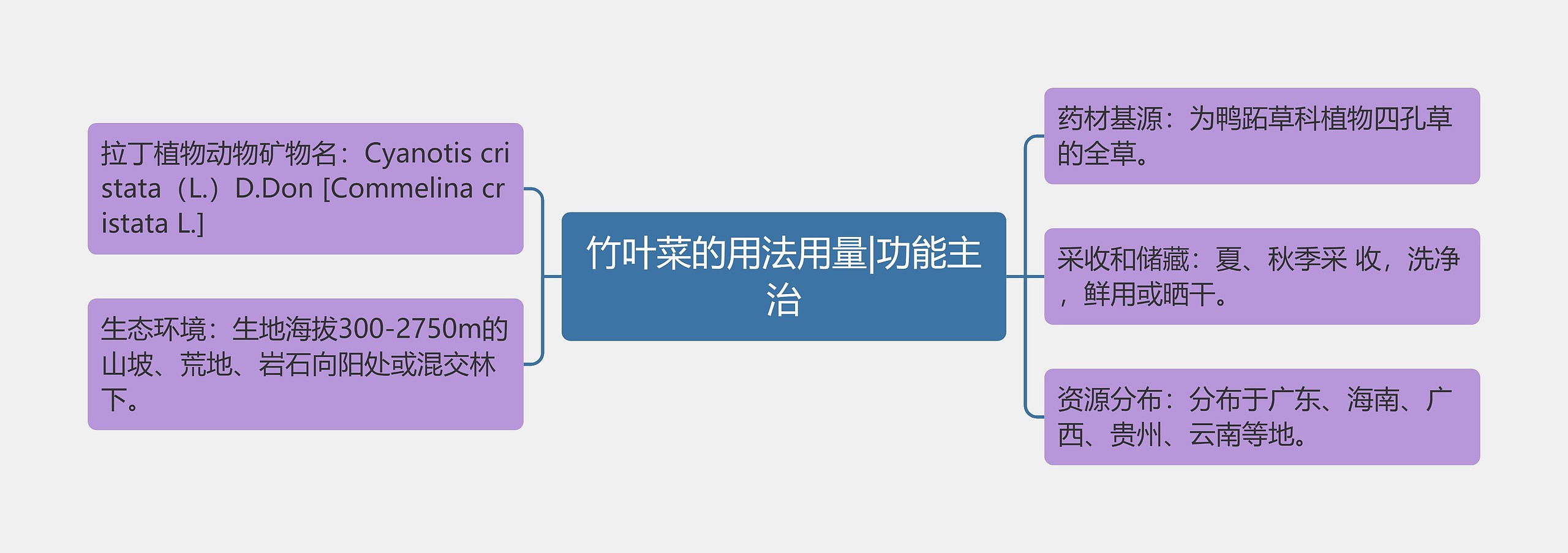 竹叶菜的用法用量|功能主治 竹叶菜的用法用量|功能主治