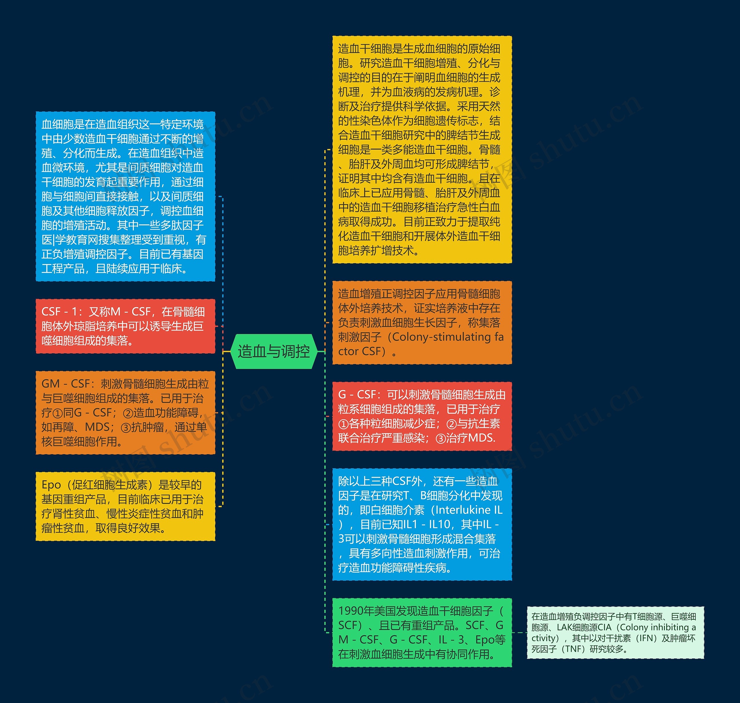 造血与调控思维导图