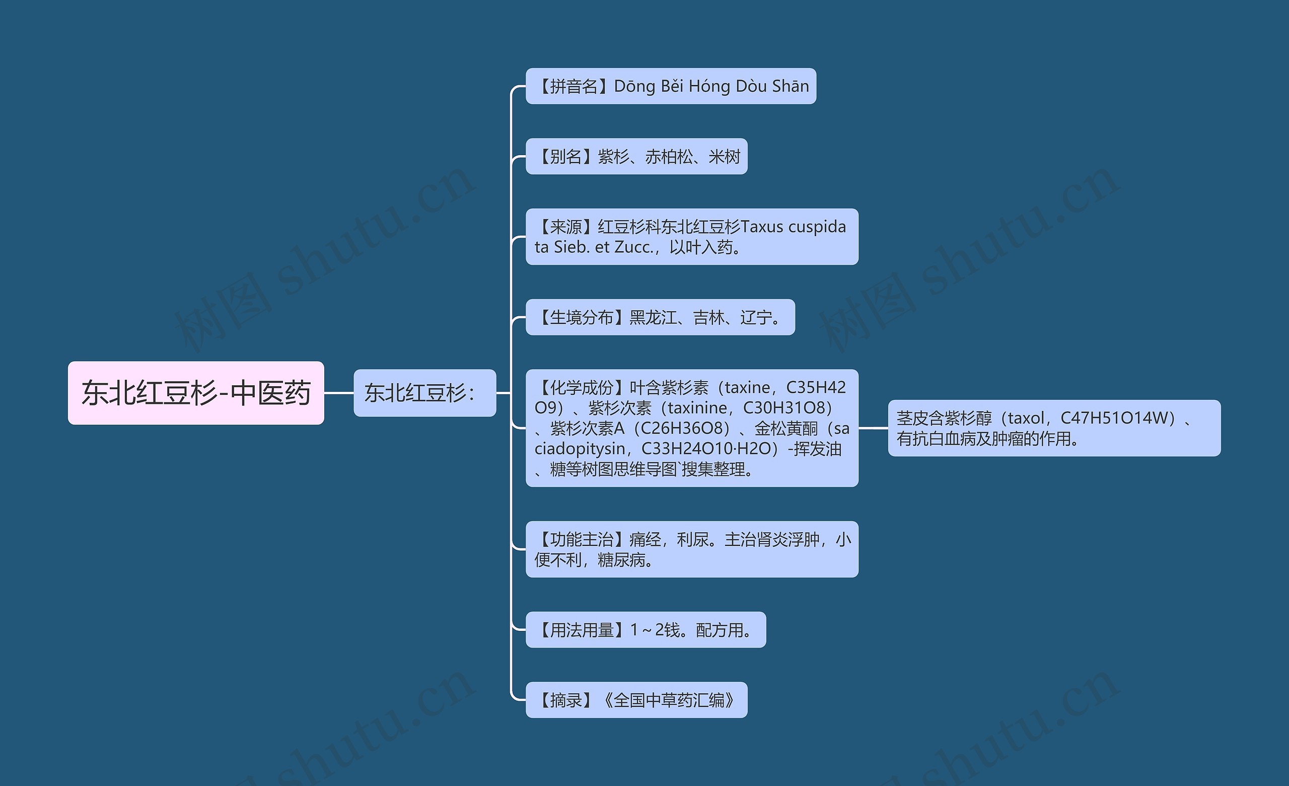 东北红豆杉-中医药思维导图