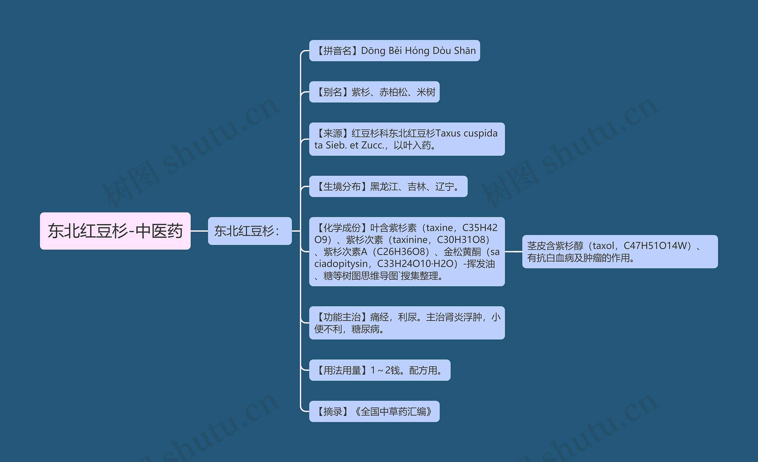 东北红豆杉-中医药 东北红豆杉-中医药