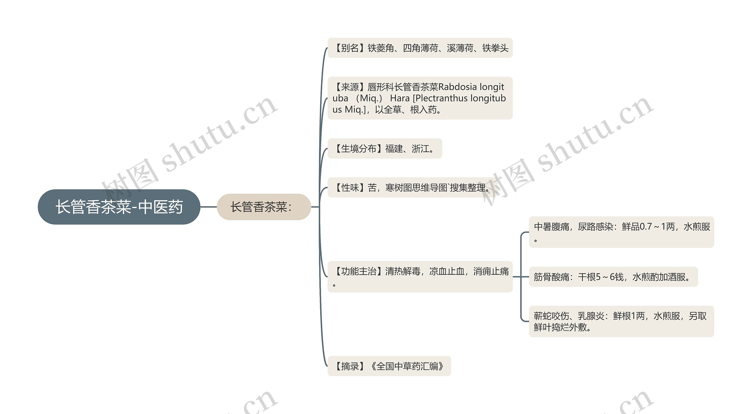 长管香茶菜-中医药思维导图