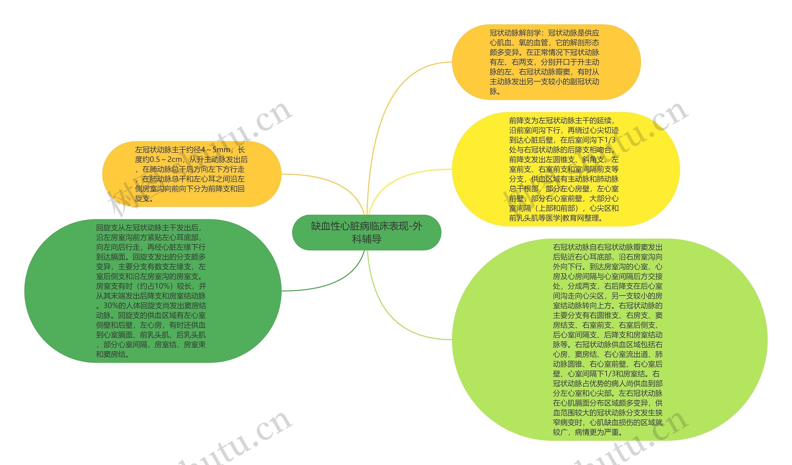 缺血性心脏病临床表现-外科辅导思维导图