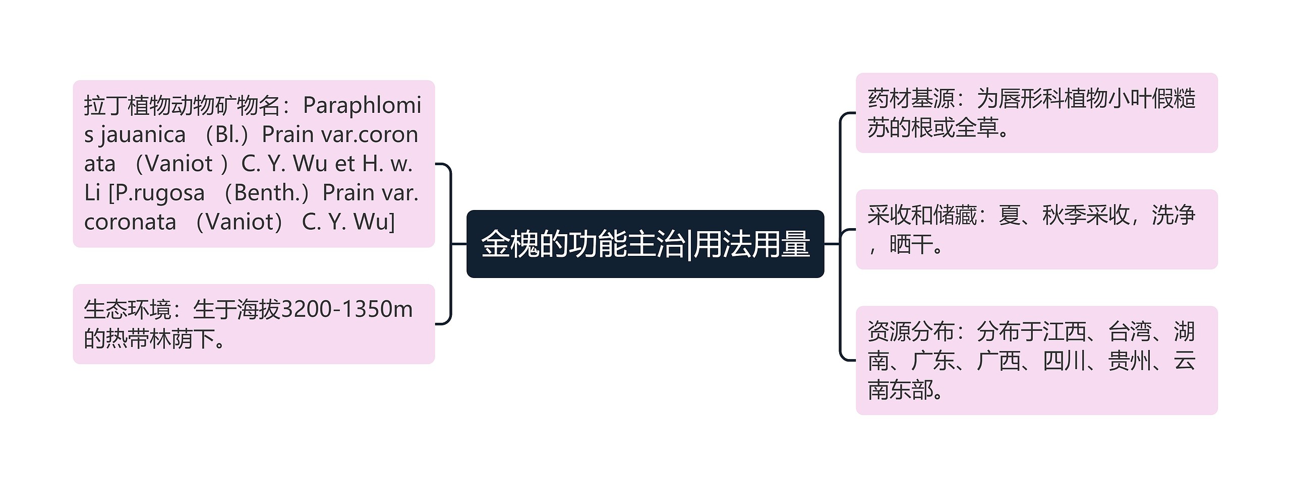 金槐的功能主治|用法用量