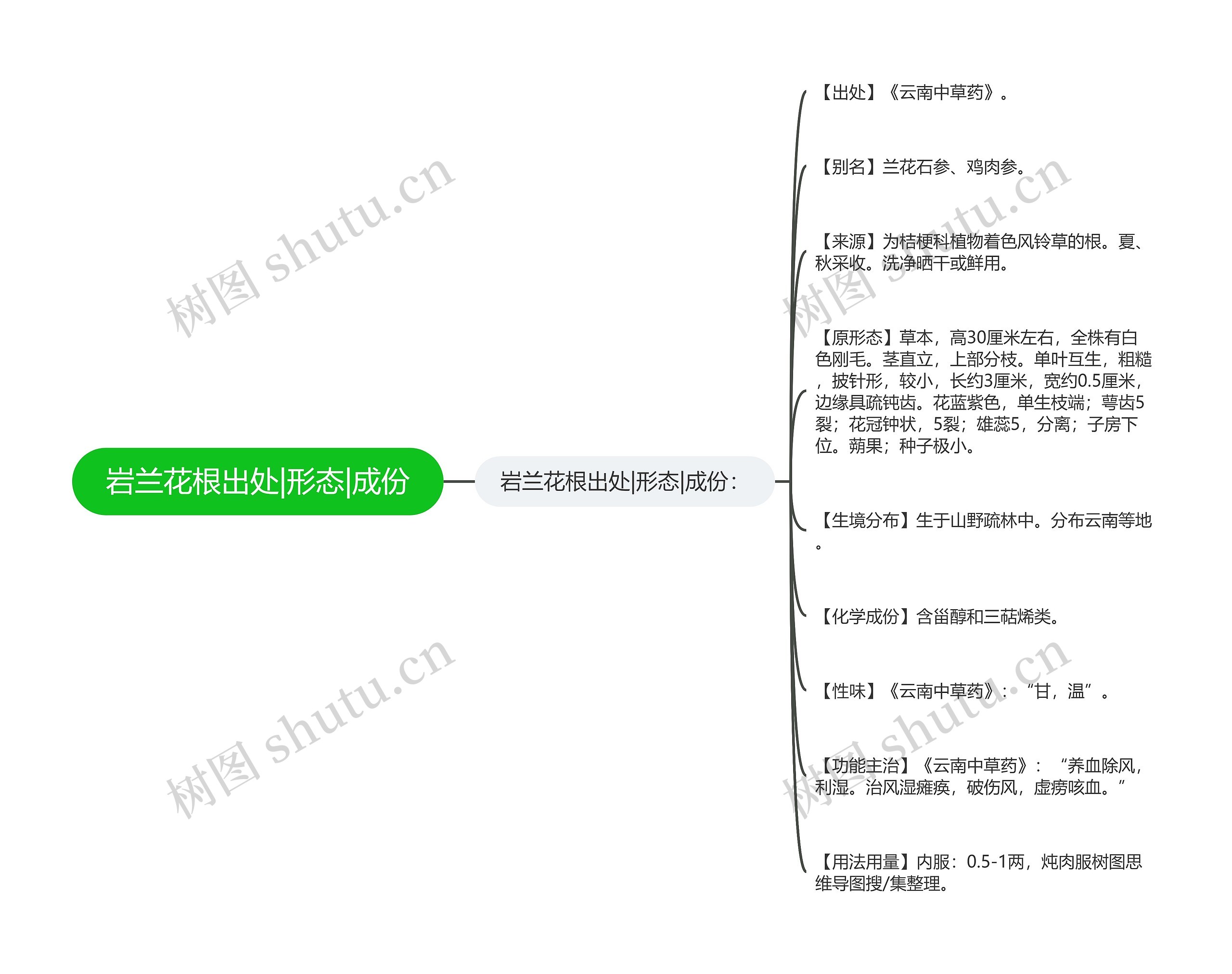 岩兰花根出处|形态|成份思维导图