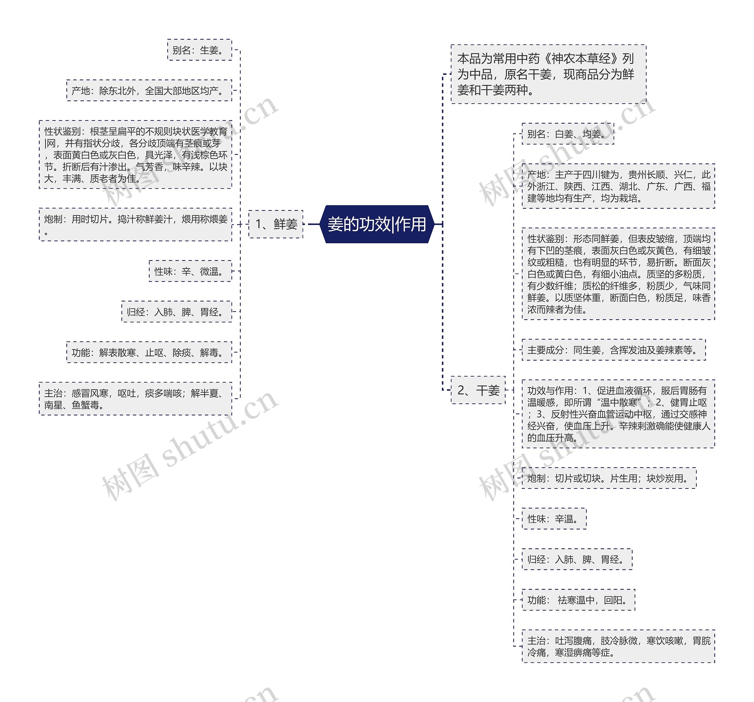 姜的功效|作用 姜的功效|作用