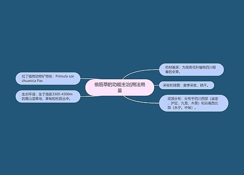 偷筋草的功能主治|用法用量