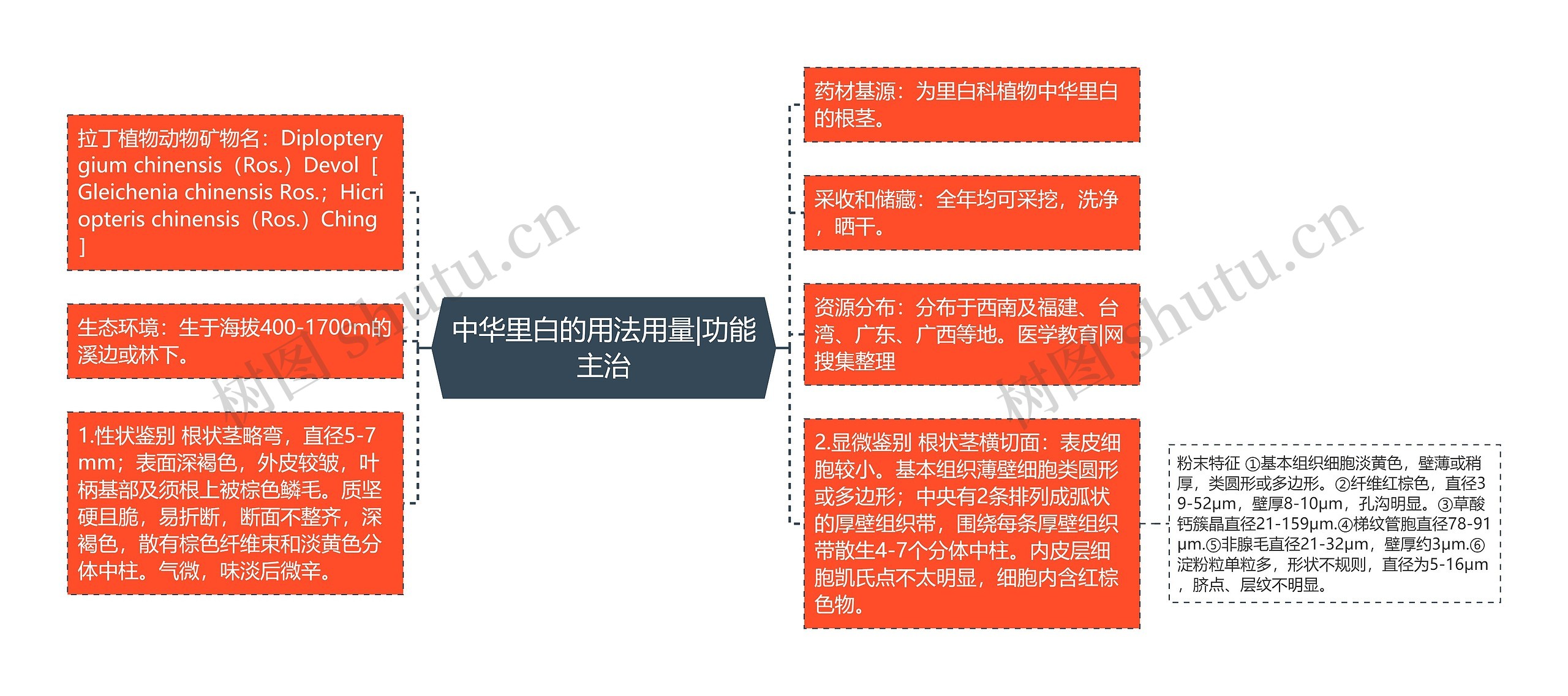 中华里白的用法用量|功能主治