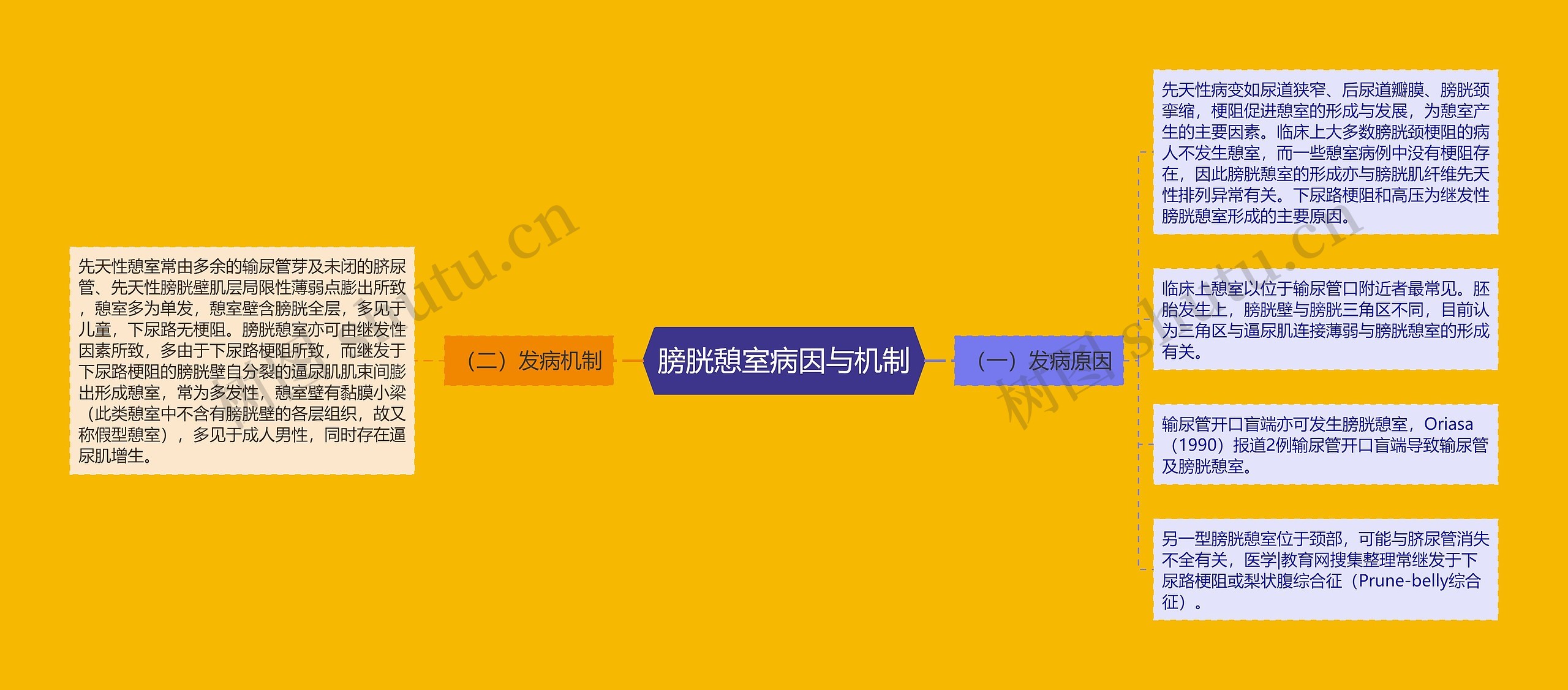 膀胱憩室病因与机制 膀胱憩室病因与机制