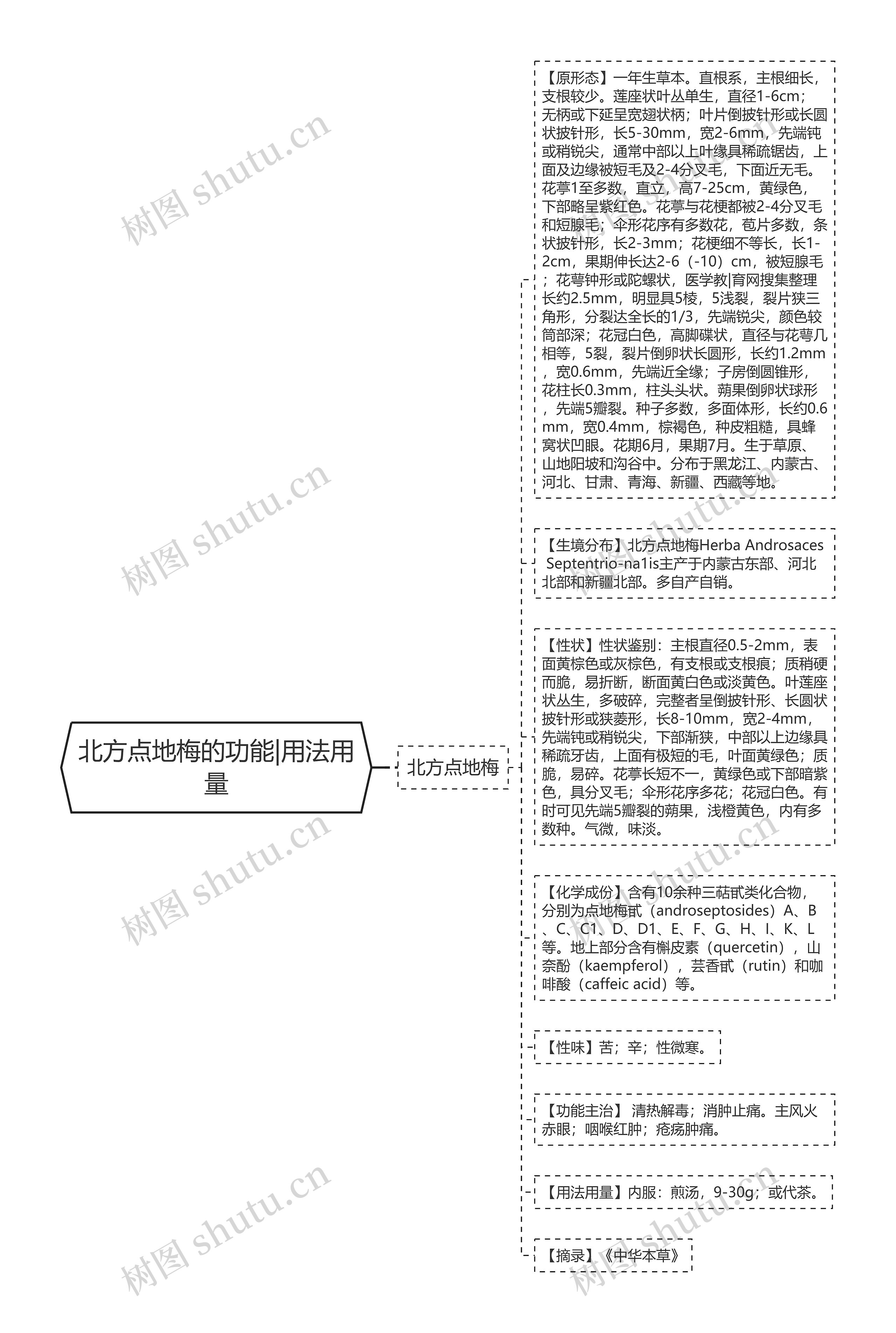 北方点地梅的功能|用法用量思维导图