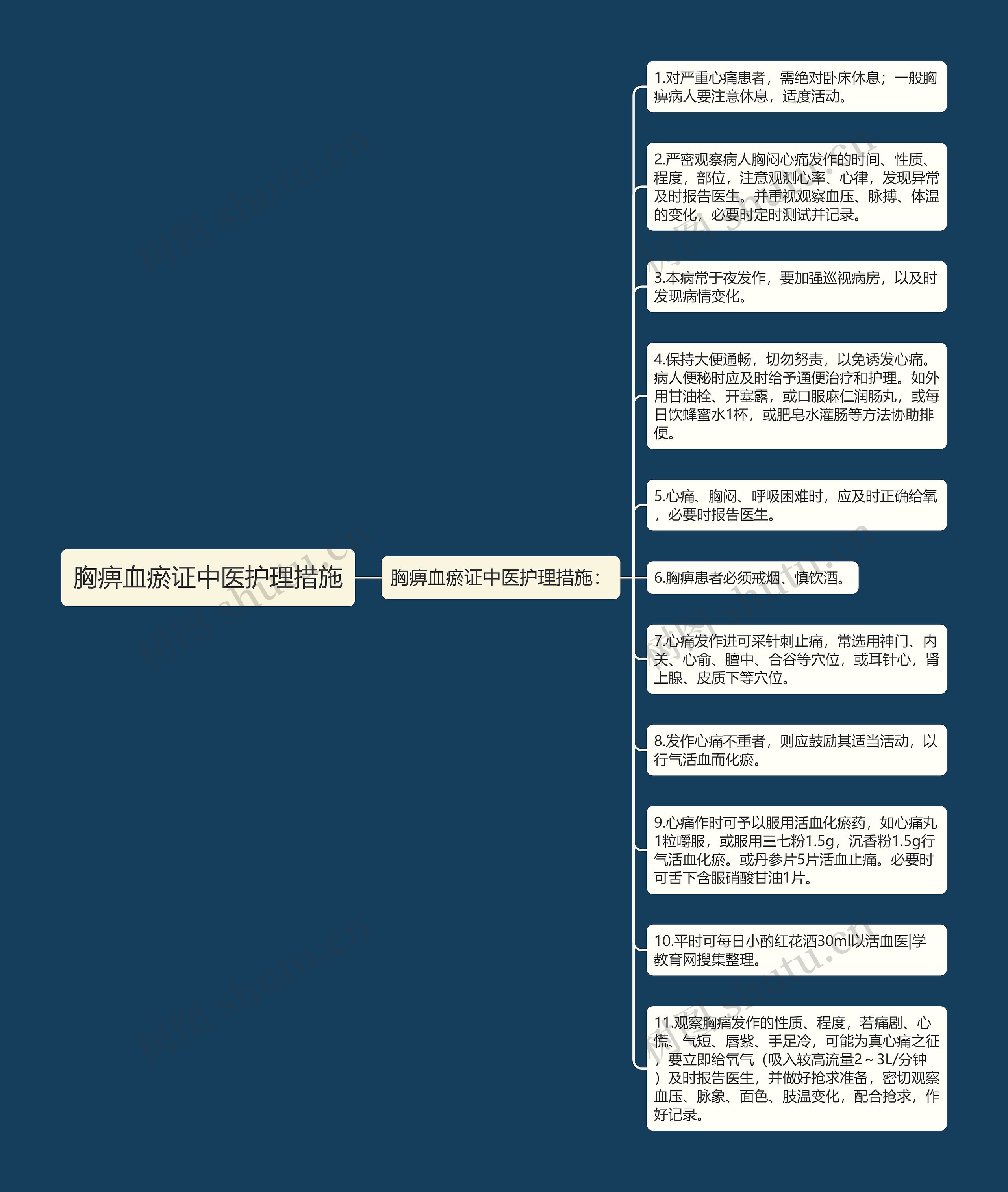 胸痹血瘀证中医护理措施思维导图