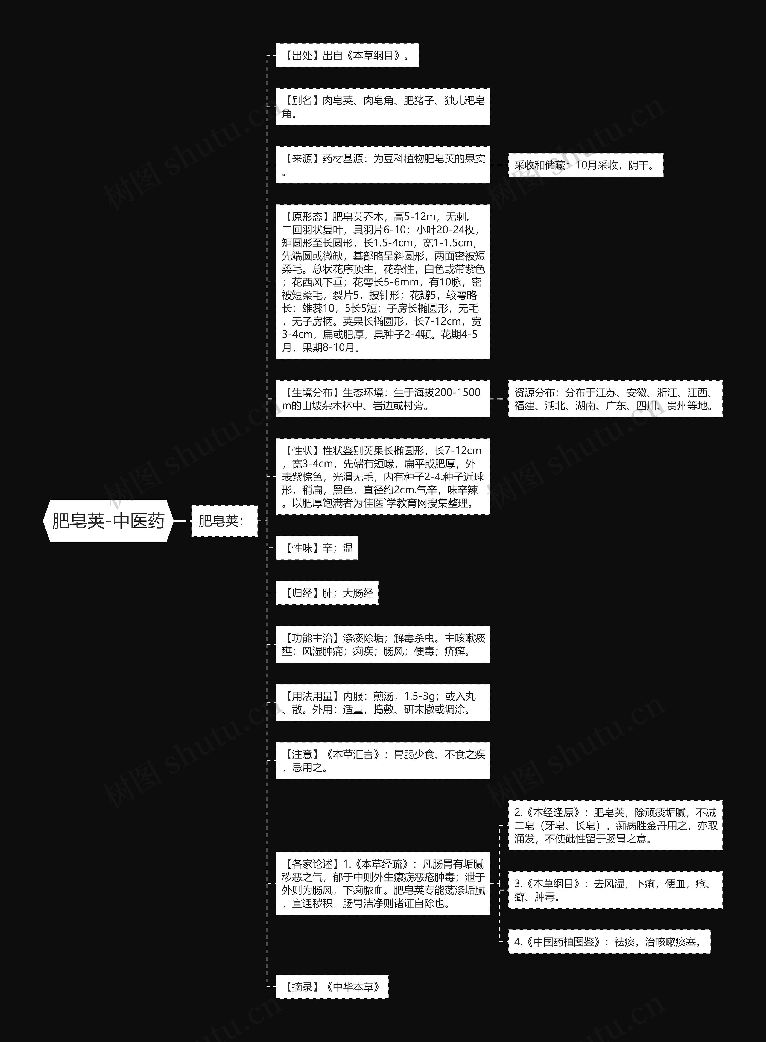 肥皂荚-中医药思维导图