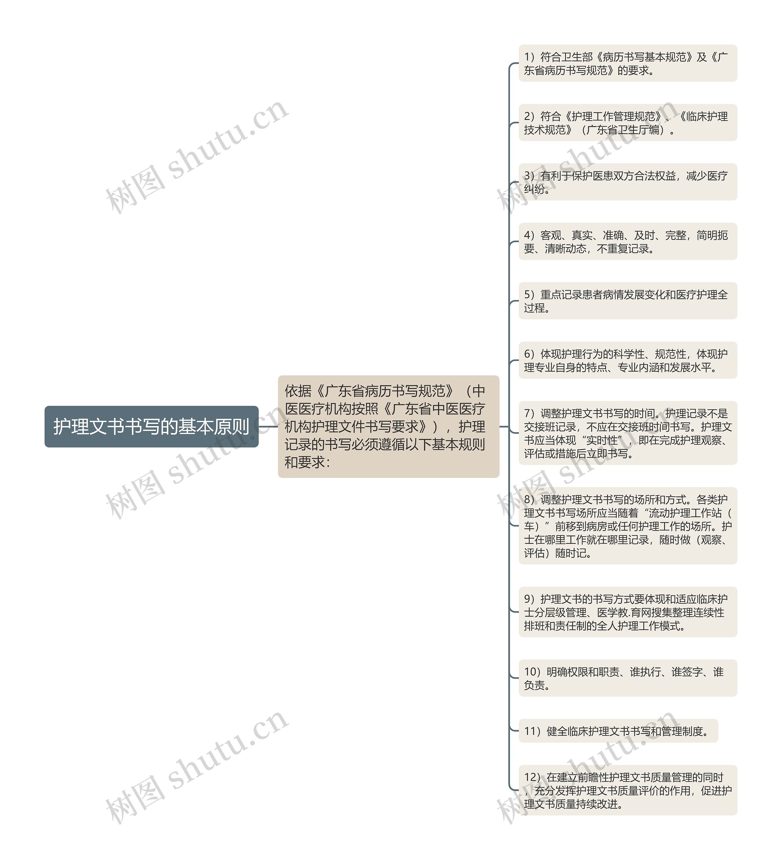 护理文书书写的基本原则