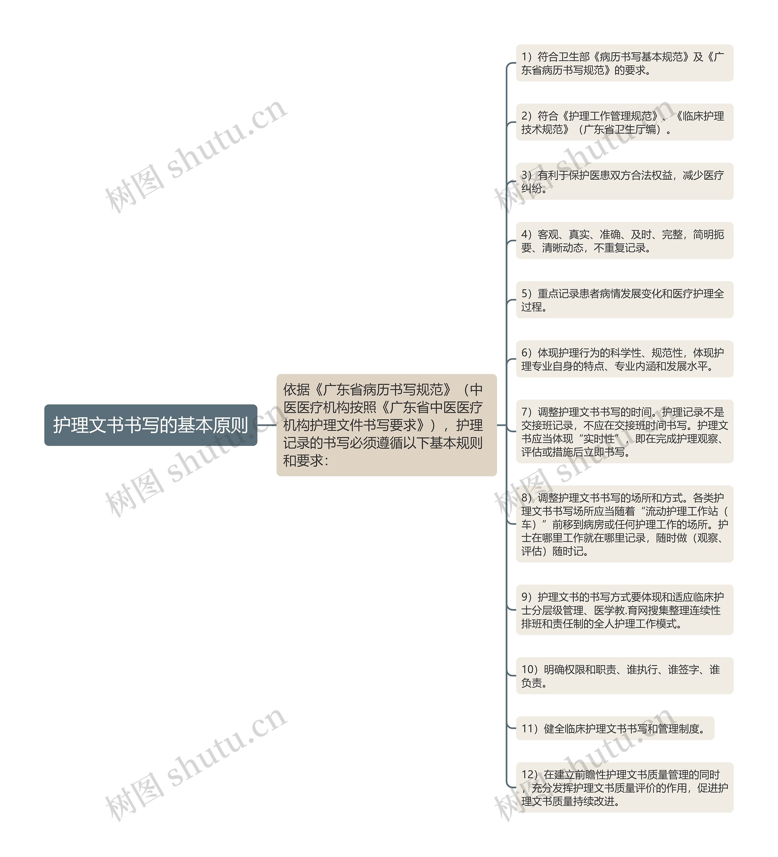 护理文书书写的基本原则思维导图