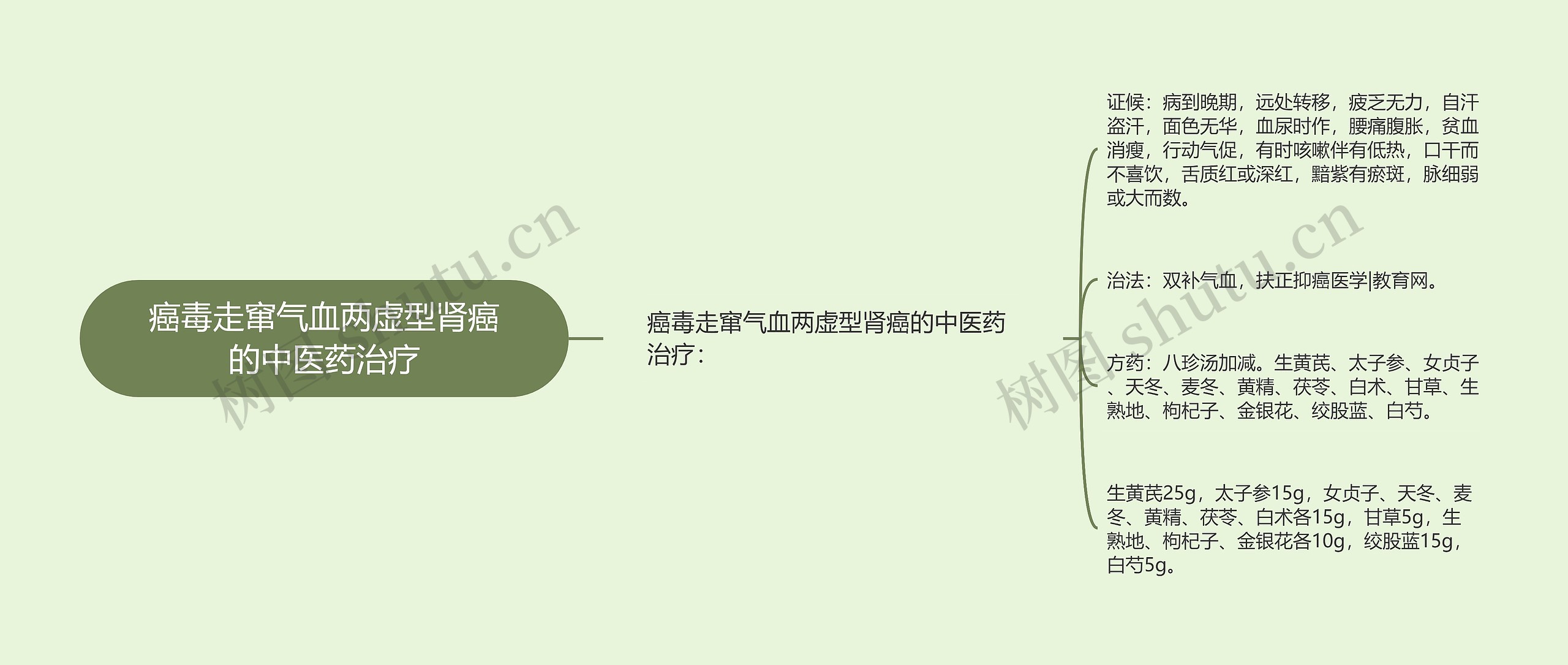 癌毒走窜气血两虚型肾癌的中医药治疗思维导图