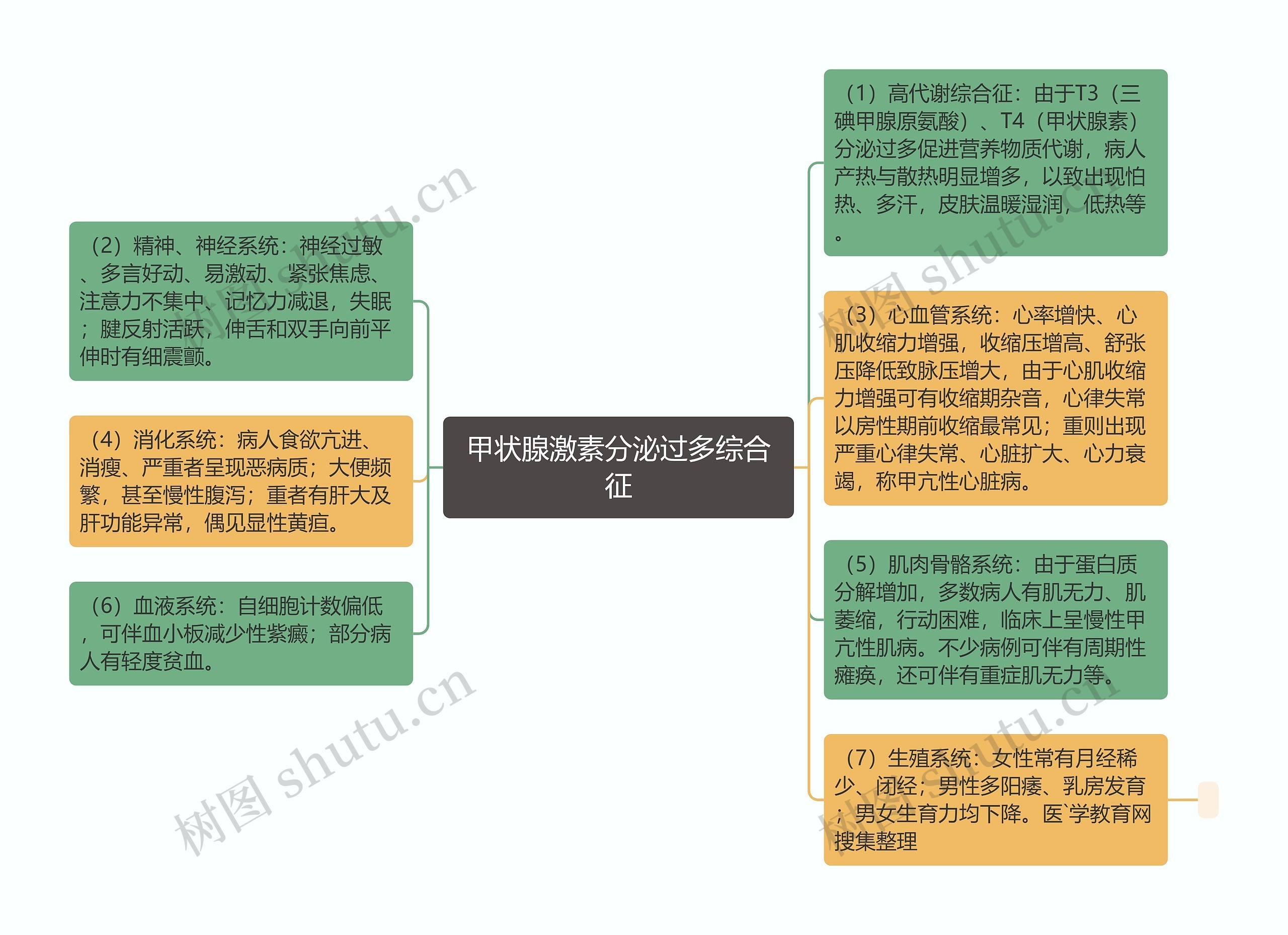 甲状腺激素分泌过多综合征思维导图